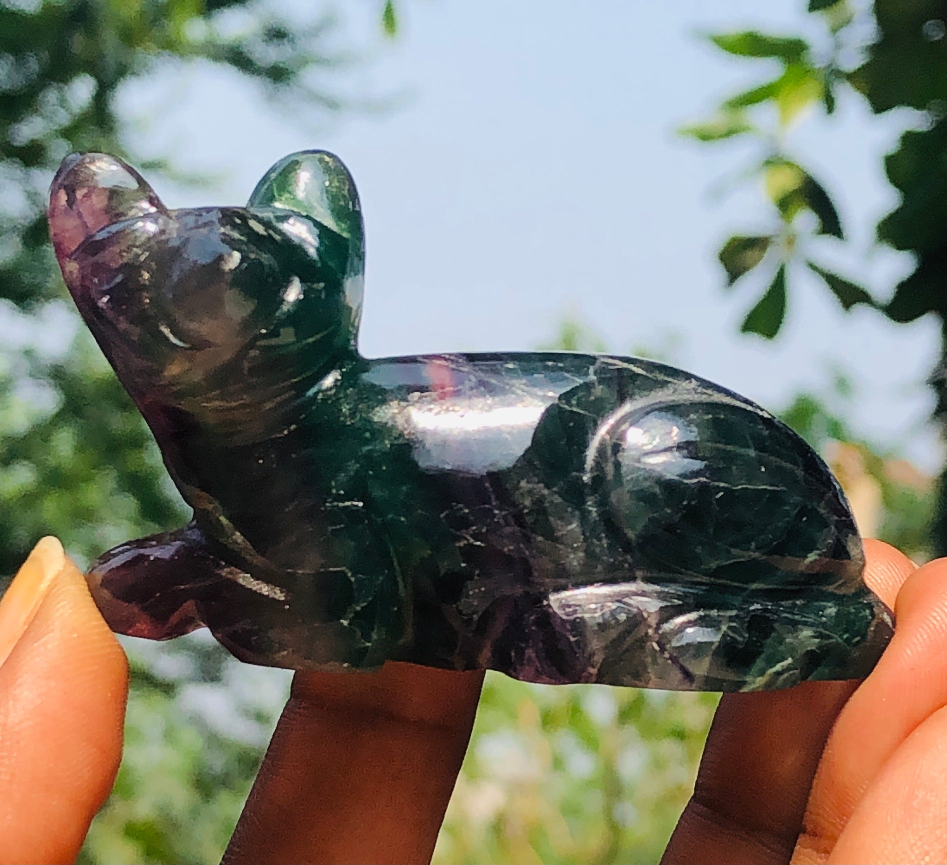 Gorgeous 389.00 Cts Genuine Multicolor Fluorite Crystal Carved Premium Cat