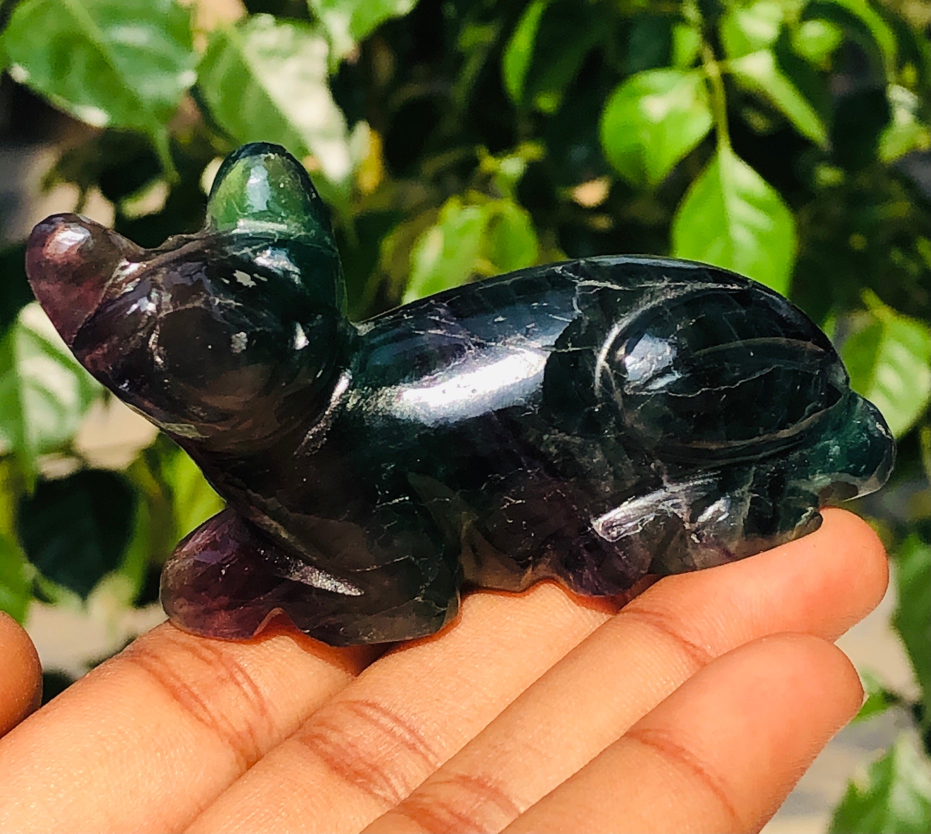 Gorgeous 389.00 Cts Genuine Multicolor Fluorite Crystal Carved Premium Cat