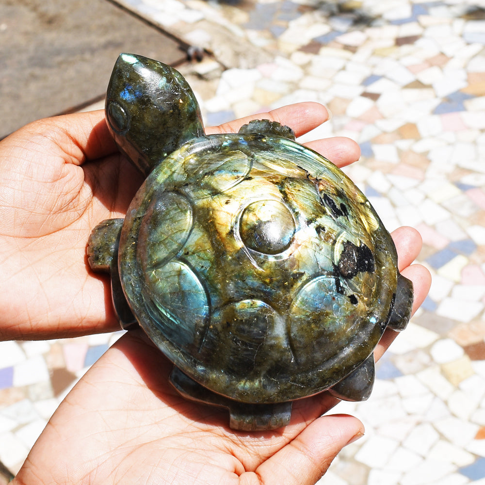 Golden & Blue Flash Labradorite 3707.00 Cts Genuine Hand Carved Crystal Turtle Carving