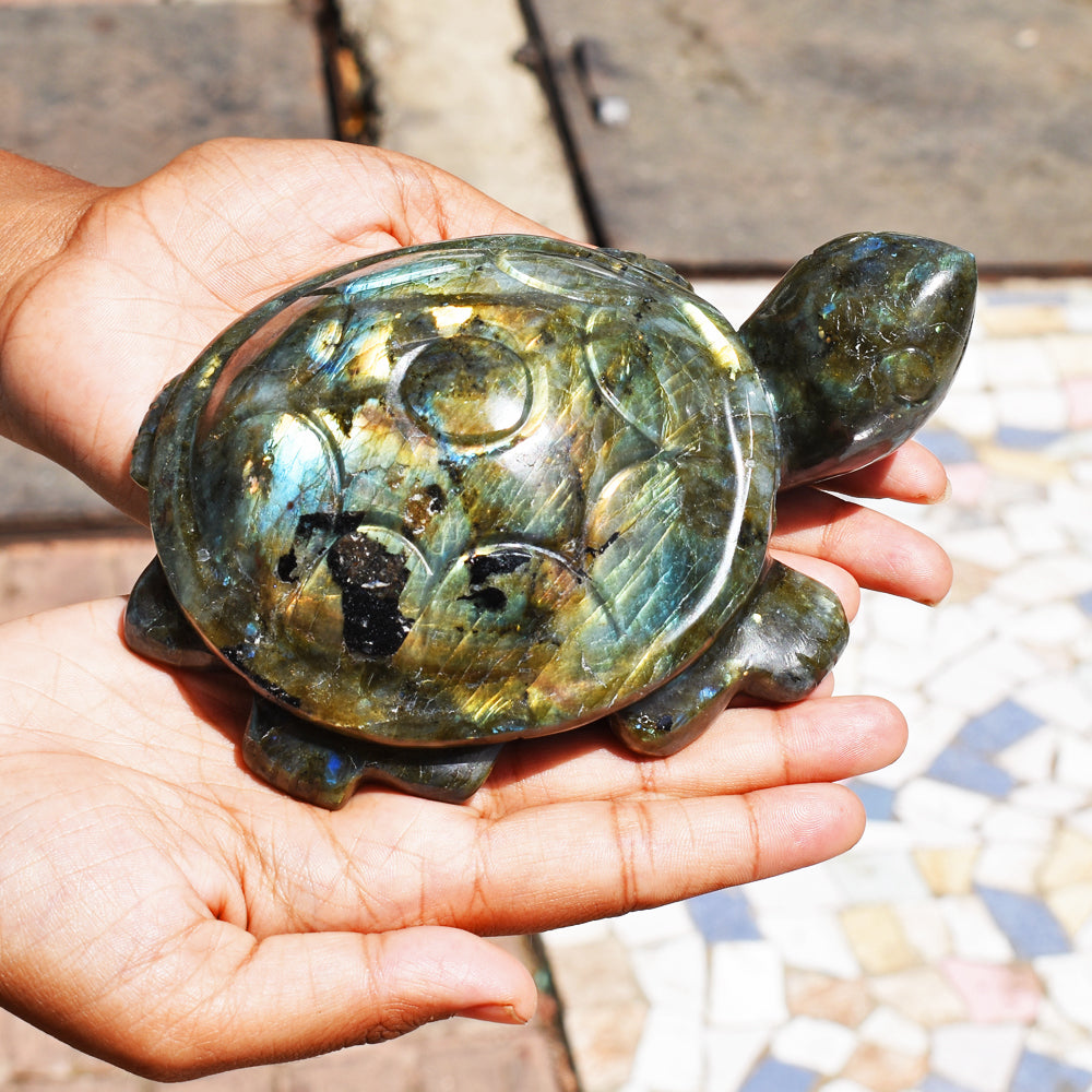 Golden & Blue Flash Labradorite 3707.00 Cts Genuine Hand Carved Crystal Turtle Carving