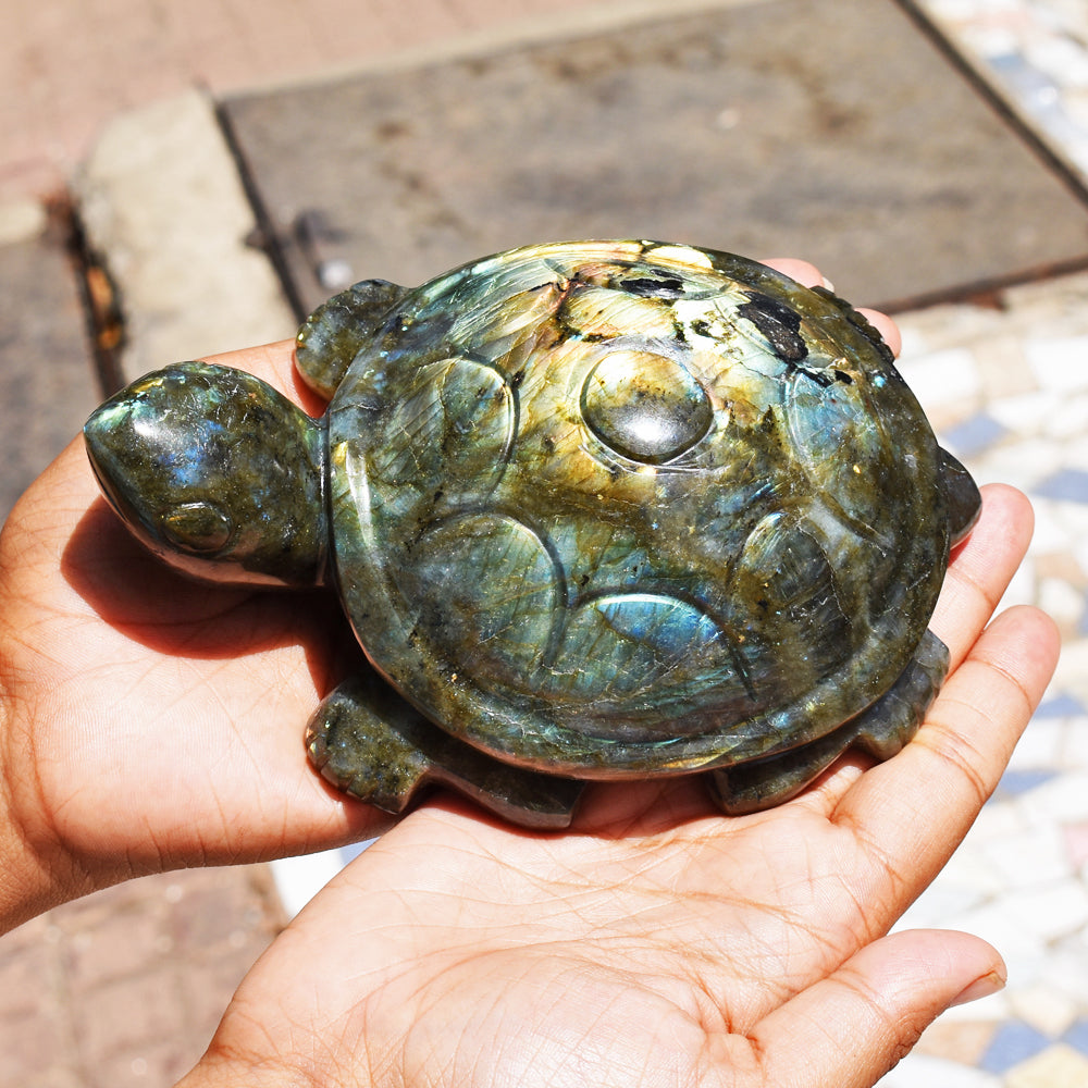 Golden & Blue Flash Labradorite 3707.00 Cts Genuine Hand Carved Crystal Turtle Carving