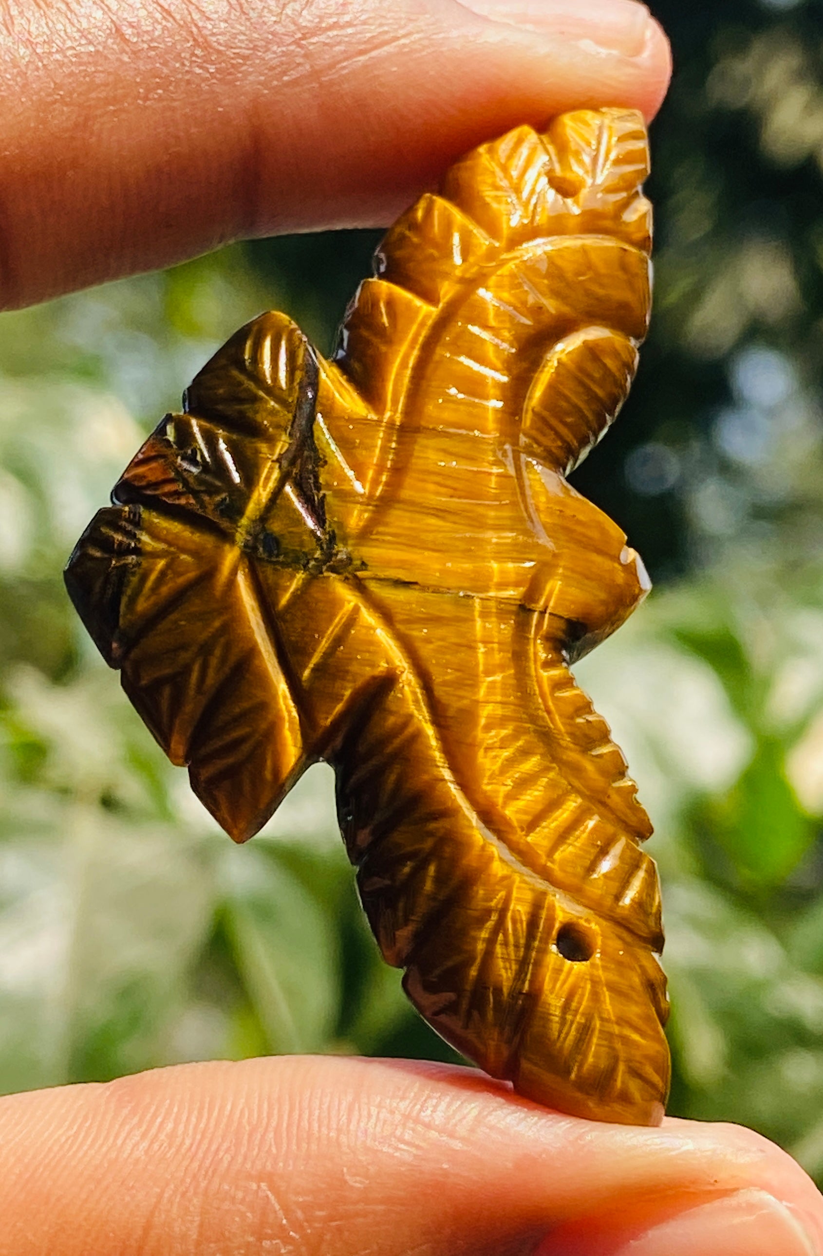 Lovely 48.00 Cts Genuine Golden Tiger Eye Hand Carved Premium Drilled Eagle