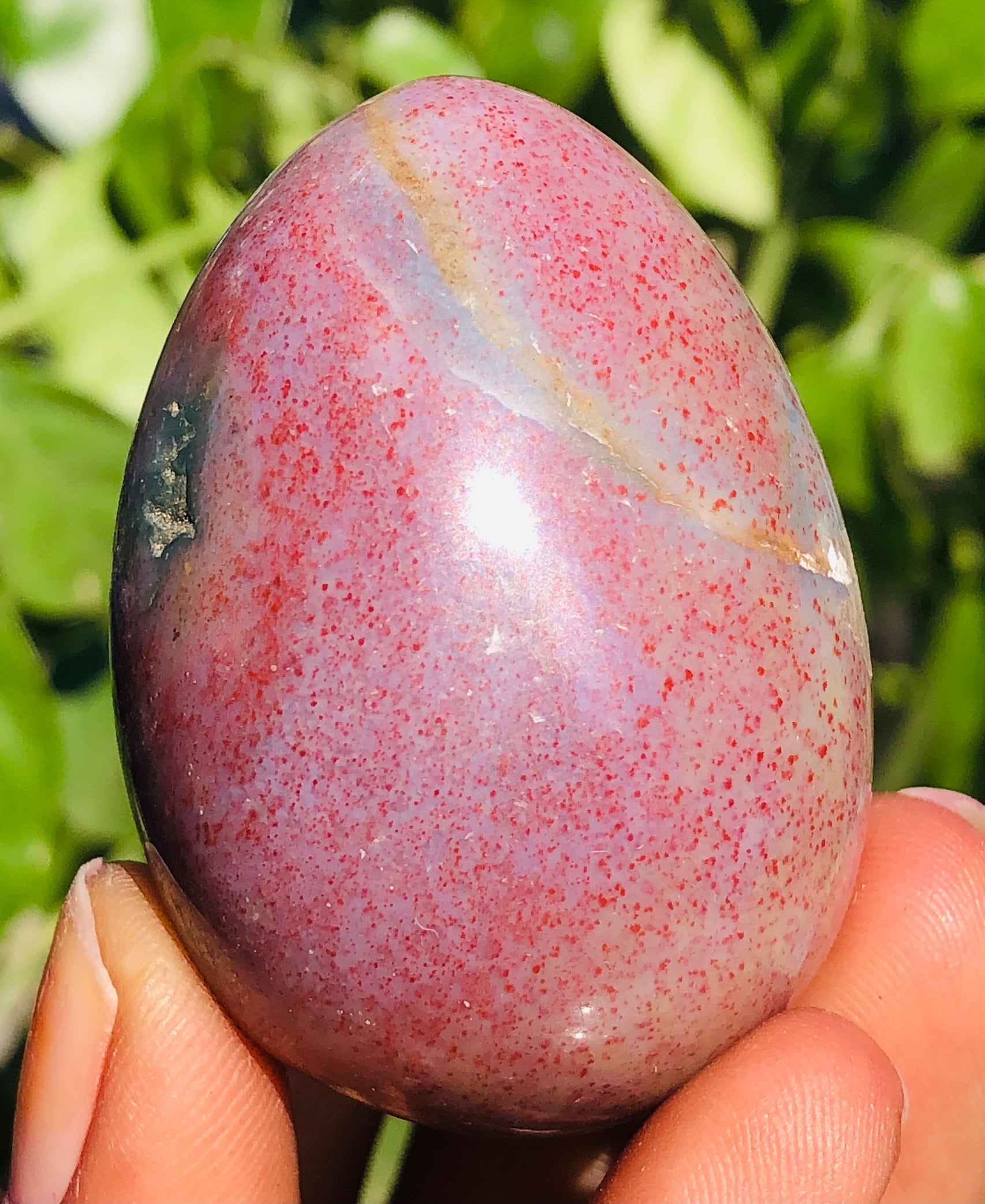 Stunning 319.00 Carats Hand Carved Bloodstone Crystal Specimen Healing Egg