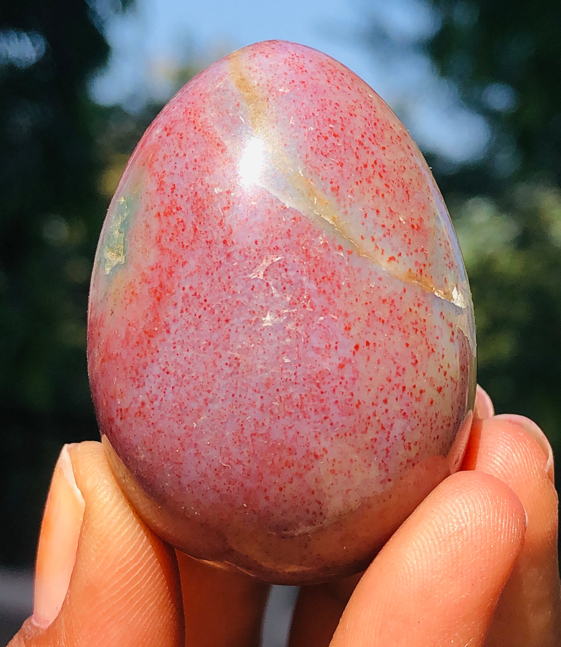 Stunning 319.00 Carats Hand Carved Bloodstone Crystal Specimen Healing Egg