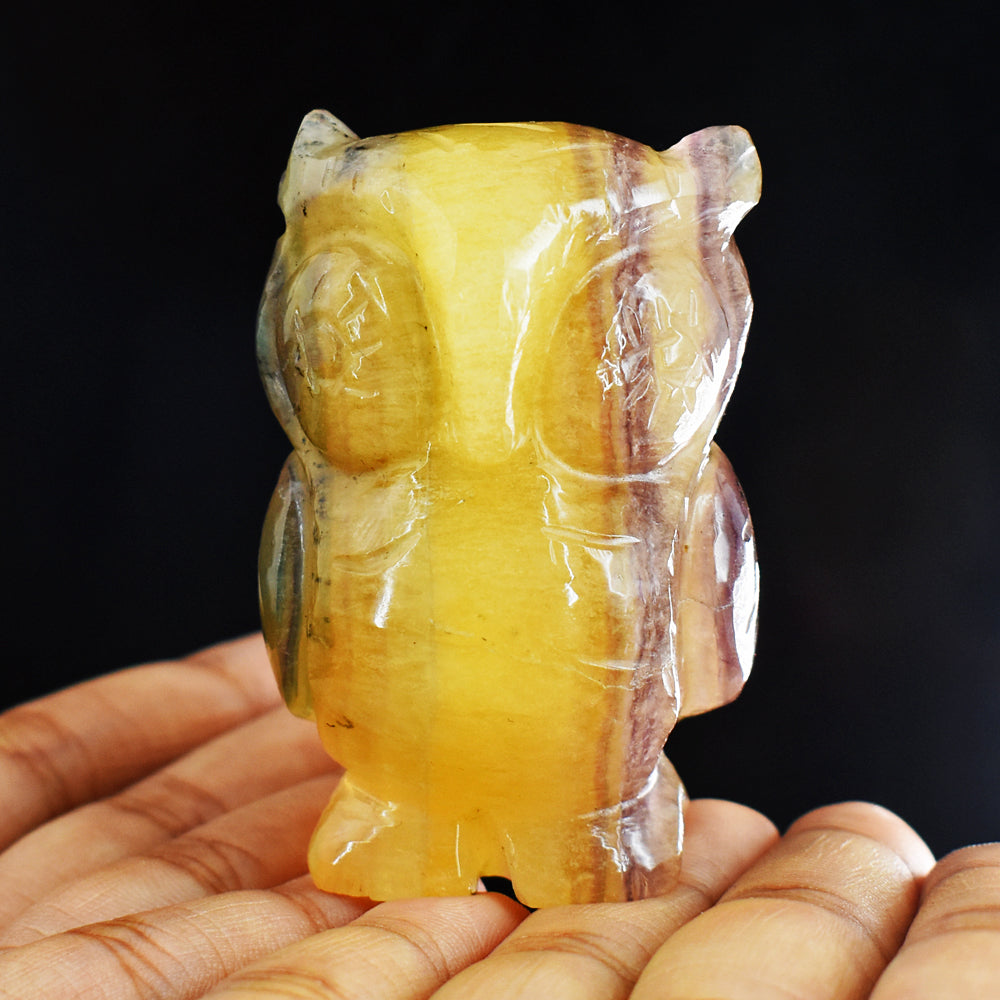 Exclusive  699.00 Cts Genuine  Multicolor Fluorite Hand Carved  Crystal Gemstone Owl Carving