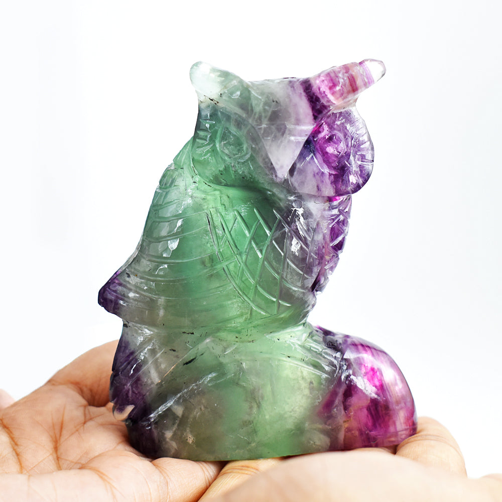 Genuine  1850.00 Cts  Multicolor Fluorite Hand Carved Crystal Owl Gemstone Carving