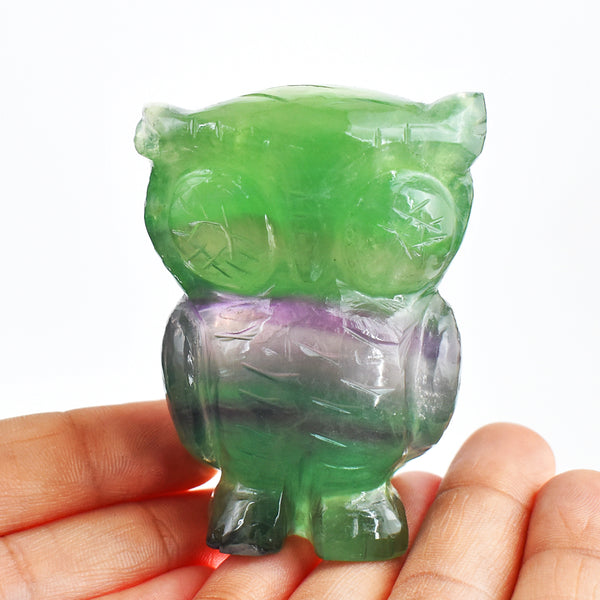 Awesome 885.00 Cts Genuine Multicolor Fluorite Hand Carved Crystal Gemstone Owl Carving