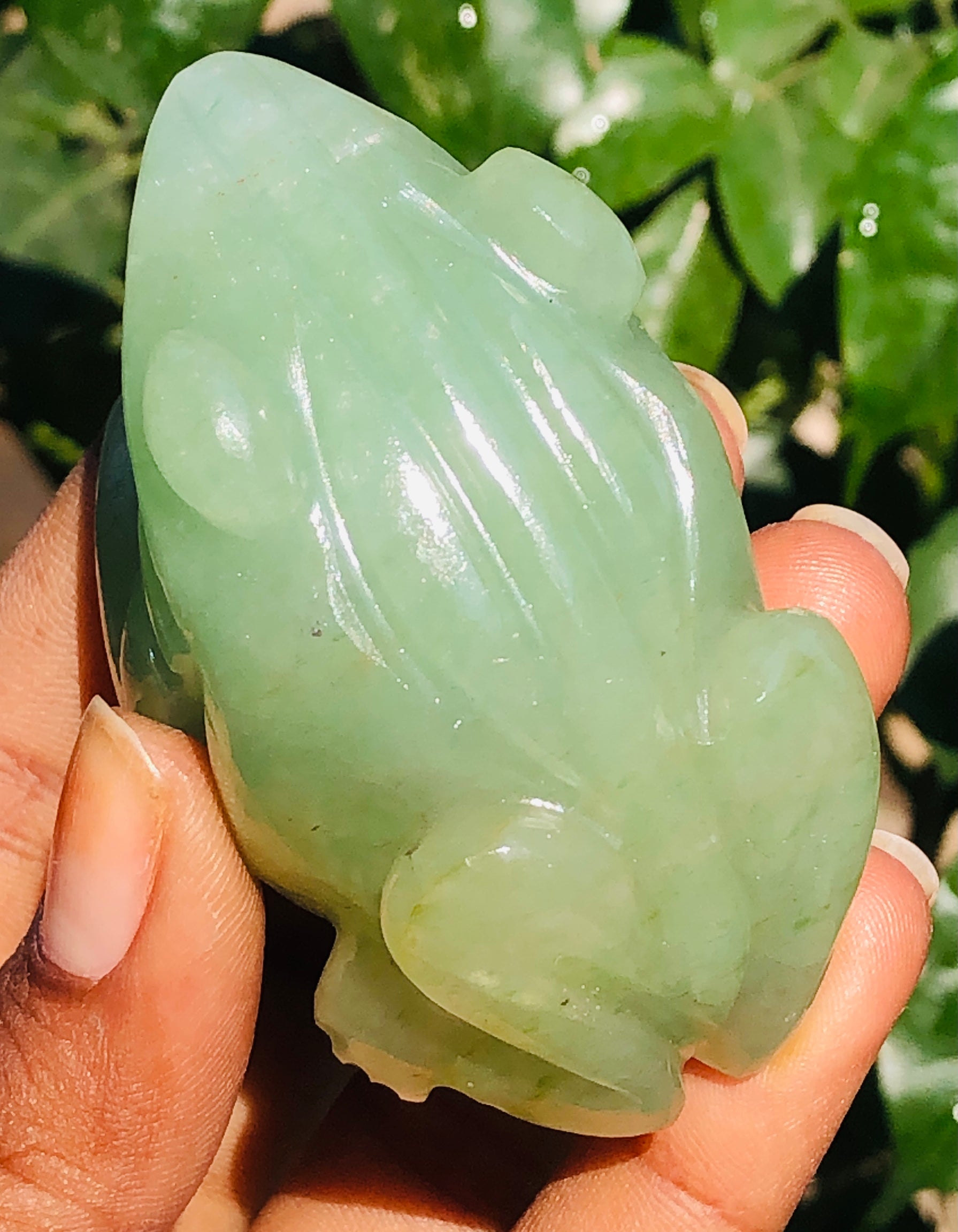 Amazing 518.00 Cts Genuine Green Aventurine Hand Carved Premium Frog Crystal