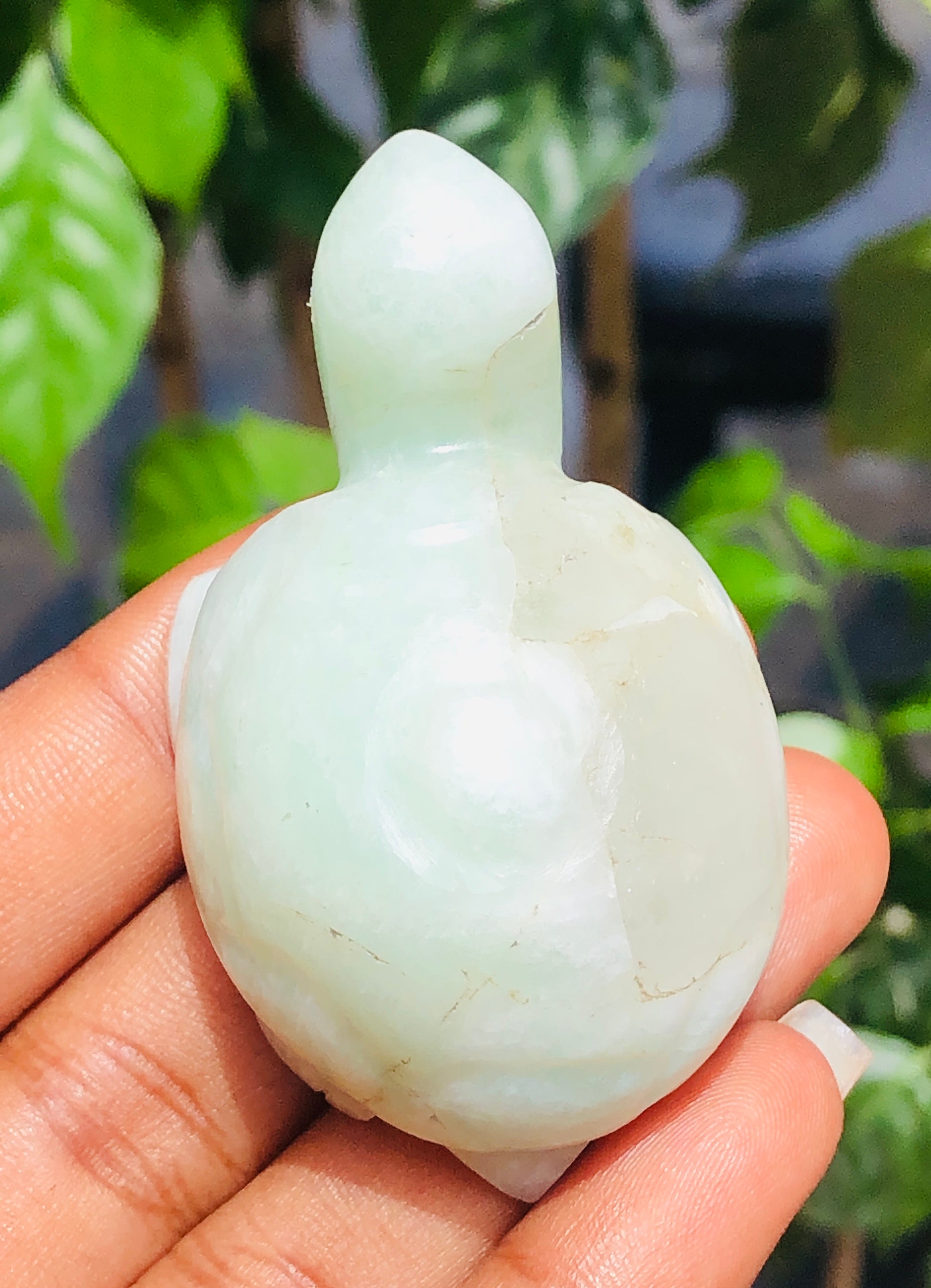 Graceful 267.00 Carats  Genuine Amazonite  Hand  Carved Crystal  Gemstone Turtle Carving 2026 Collection
