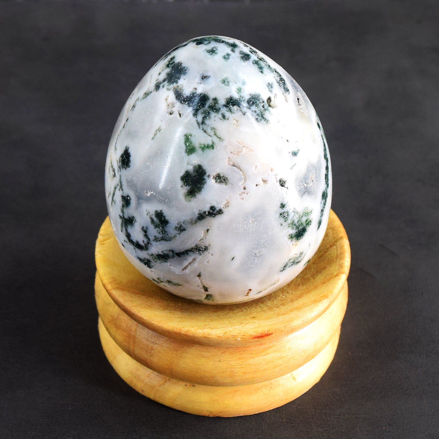 Natural 900.00 Cts Genuine Tree Agate Healing Premium Egg Crystal