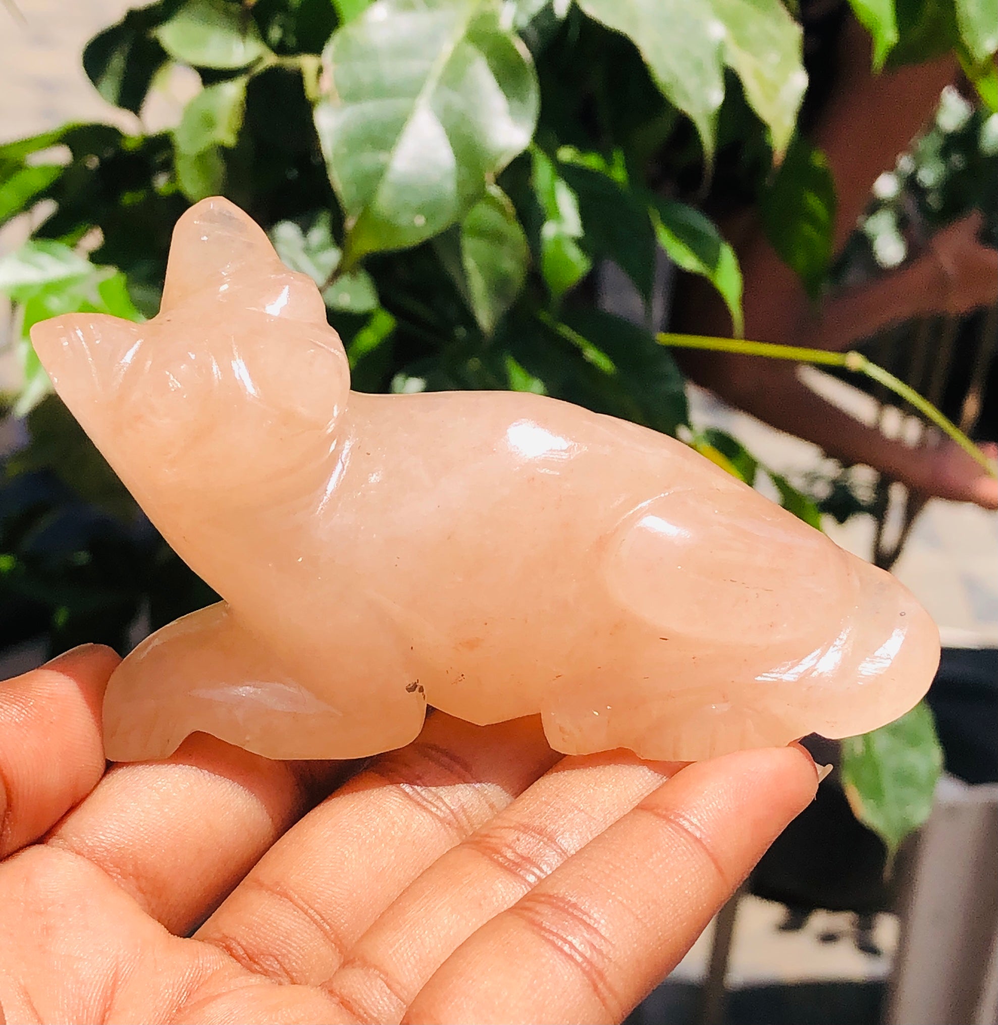Exclusive 685.00 Cts Genuine Aventurine Hand Carved Genuine Crystal Gemstone Carving Cat 2026  Collection