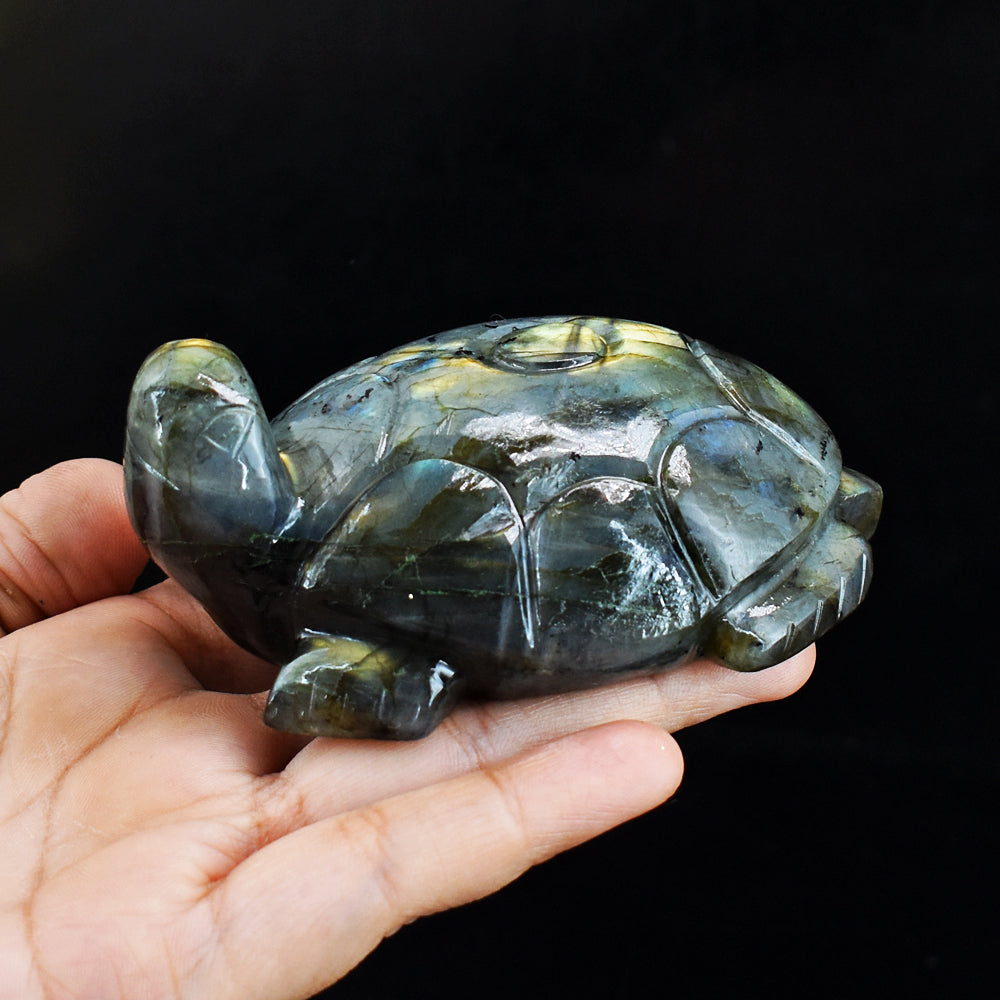 Amazing 1332.00 Carats Genuine Golden & Blue Flash Labradorite Hand Carved Crystal Turtle Carving