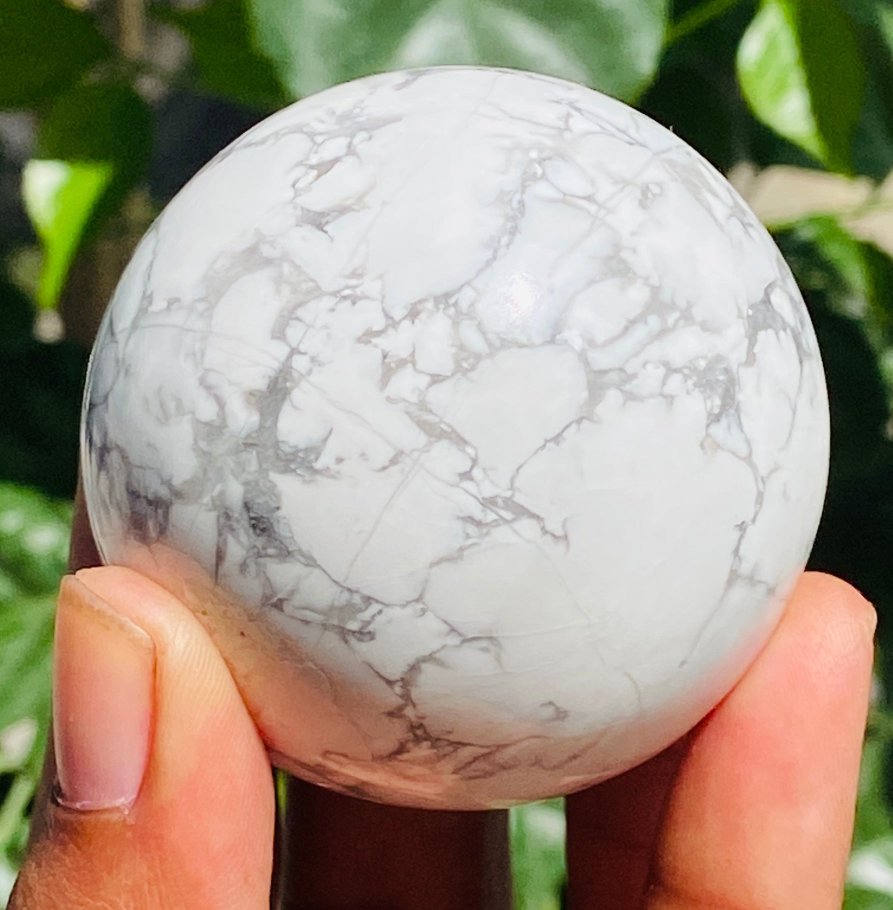 Beautiful 858.00 Cts Genuine Howlite Hand Carved Healing Crystal Sphere