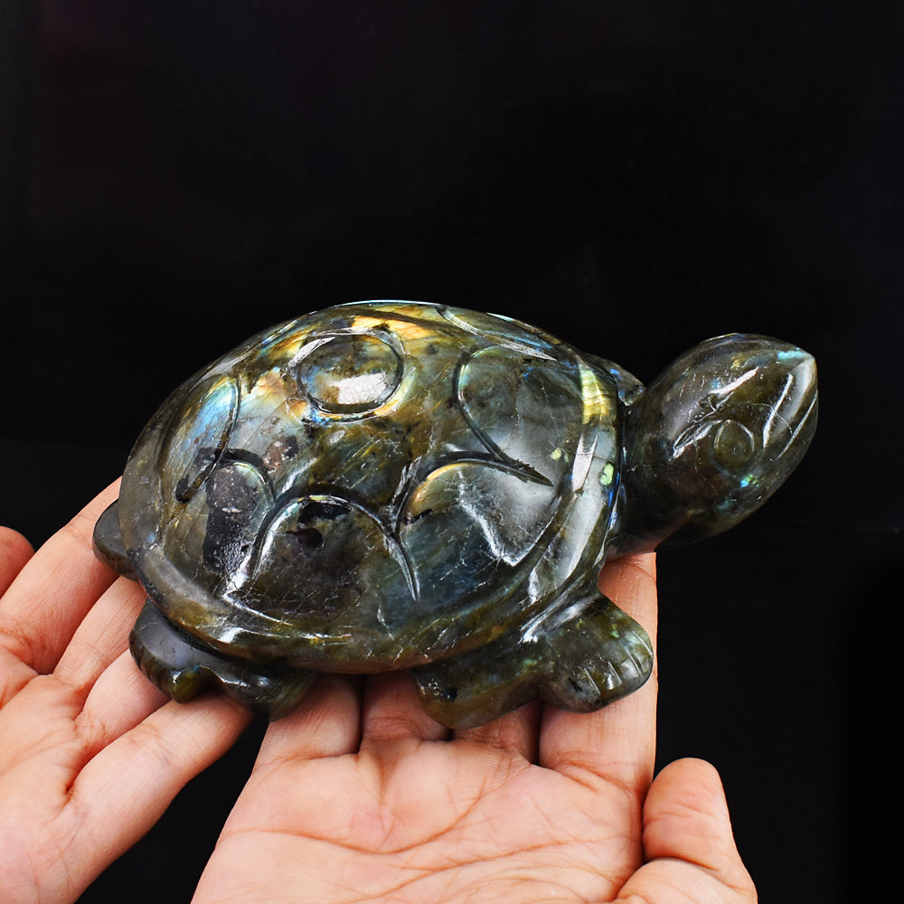 Golden & Blue Flash Labradorite 3707.00 Cts Genuine Hand Carved Crystal Turtle Carving