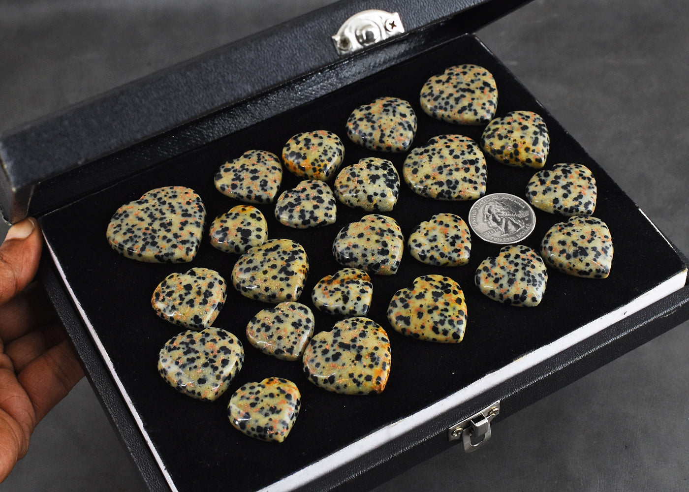 Exclusive  950.00 Carats Genuine Dalmation Jasper  Untreated  Gemstone  Cabochon  Lot