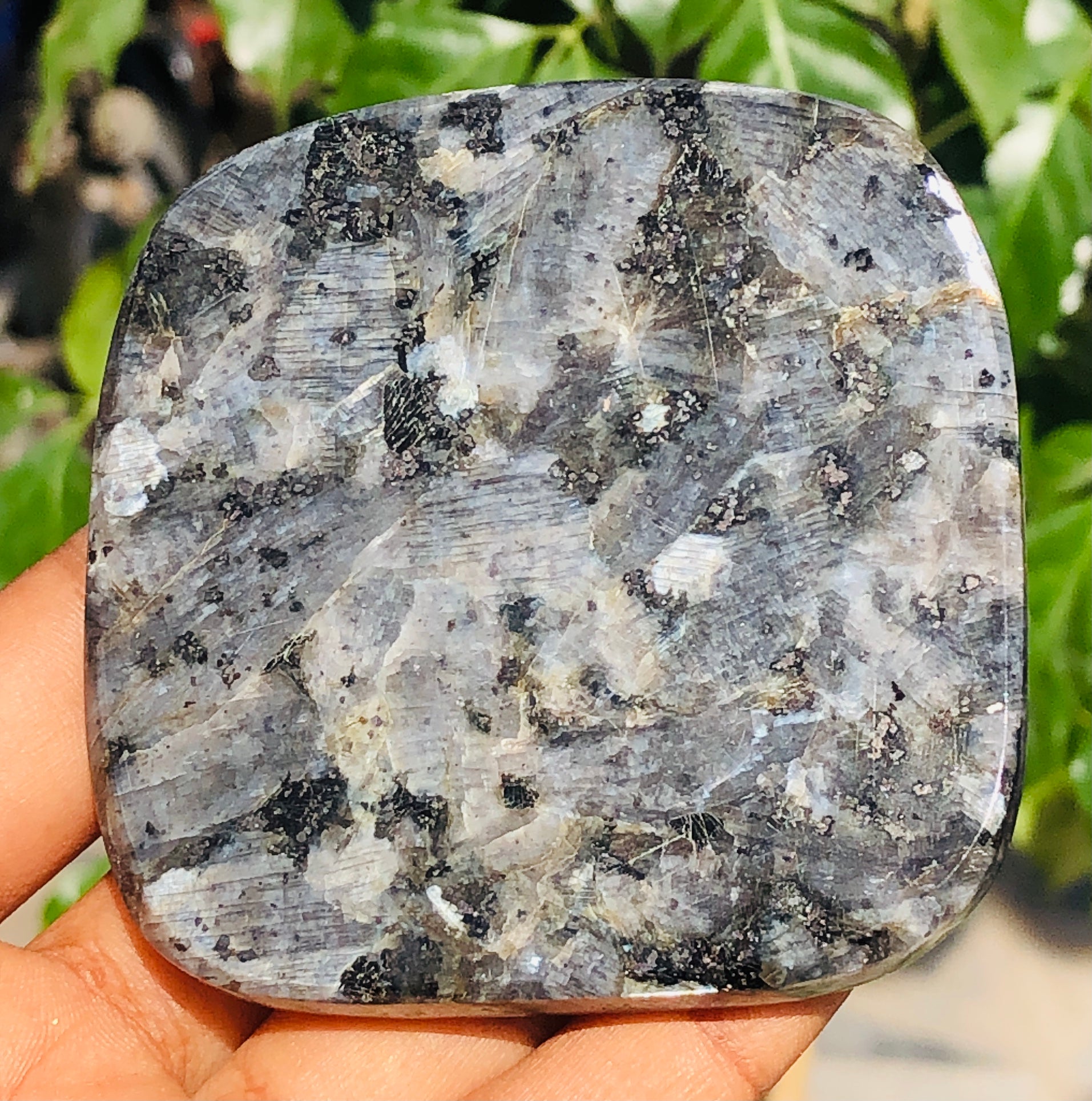 Dazzling 489.00 Cts Genuine Larvikite Crystal Specimen Premium Coaster Crystal