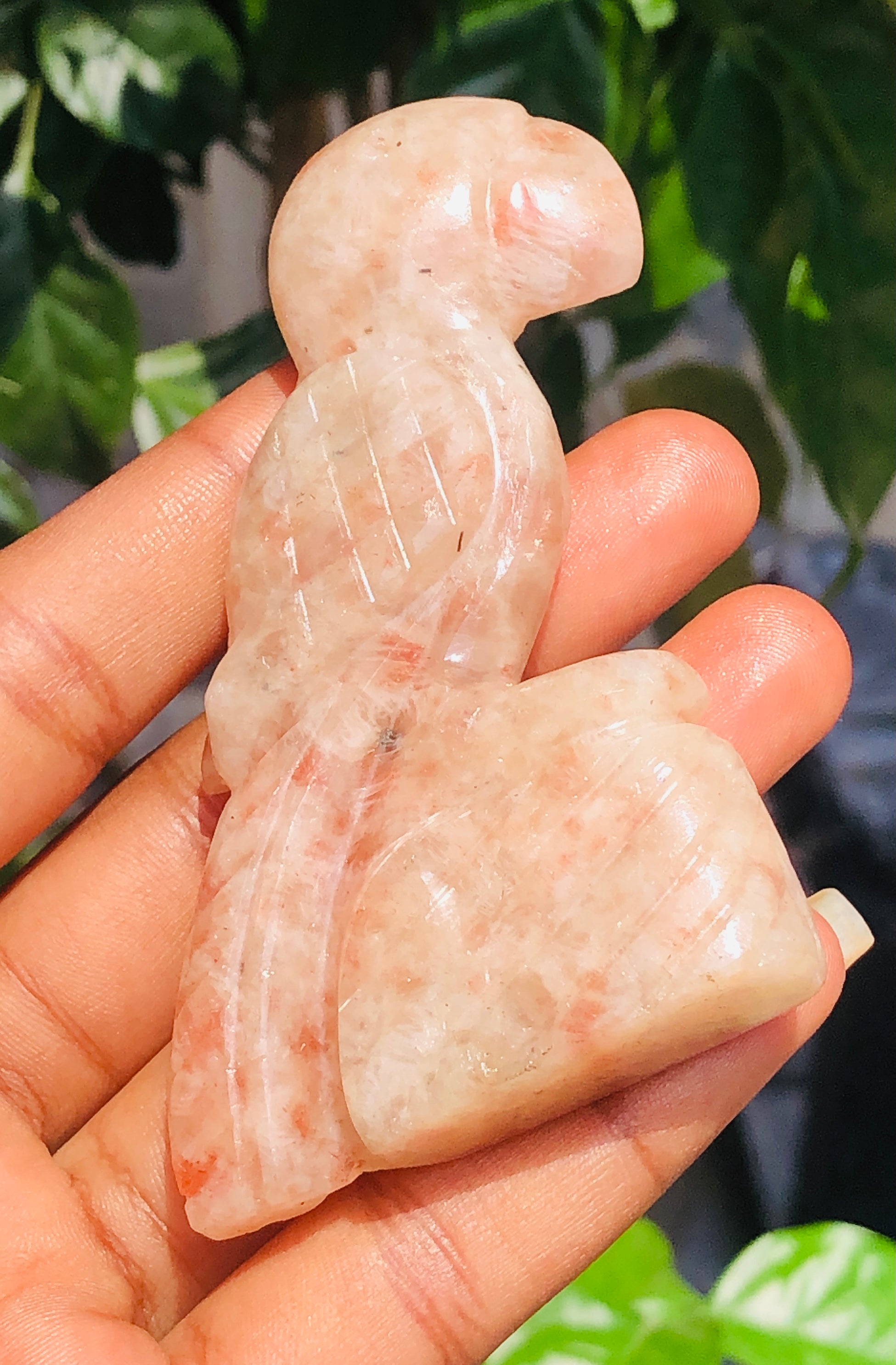 Marvellous 340.00 Carats Genuine Sunstone Hand Carved Crystal Parrot Gemstone Carving  2026  Collection