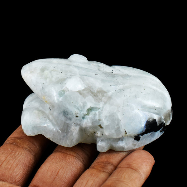 Exclusive Blue Flash  Moonstone  644.00 Cts  Hand Carved Genuine Crystal Frog Gemstone Carving