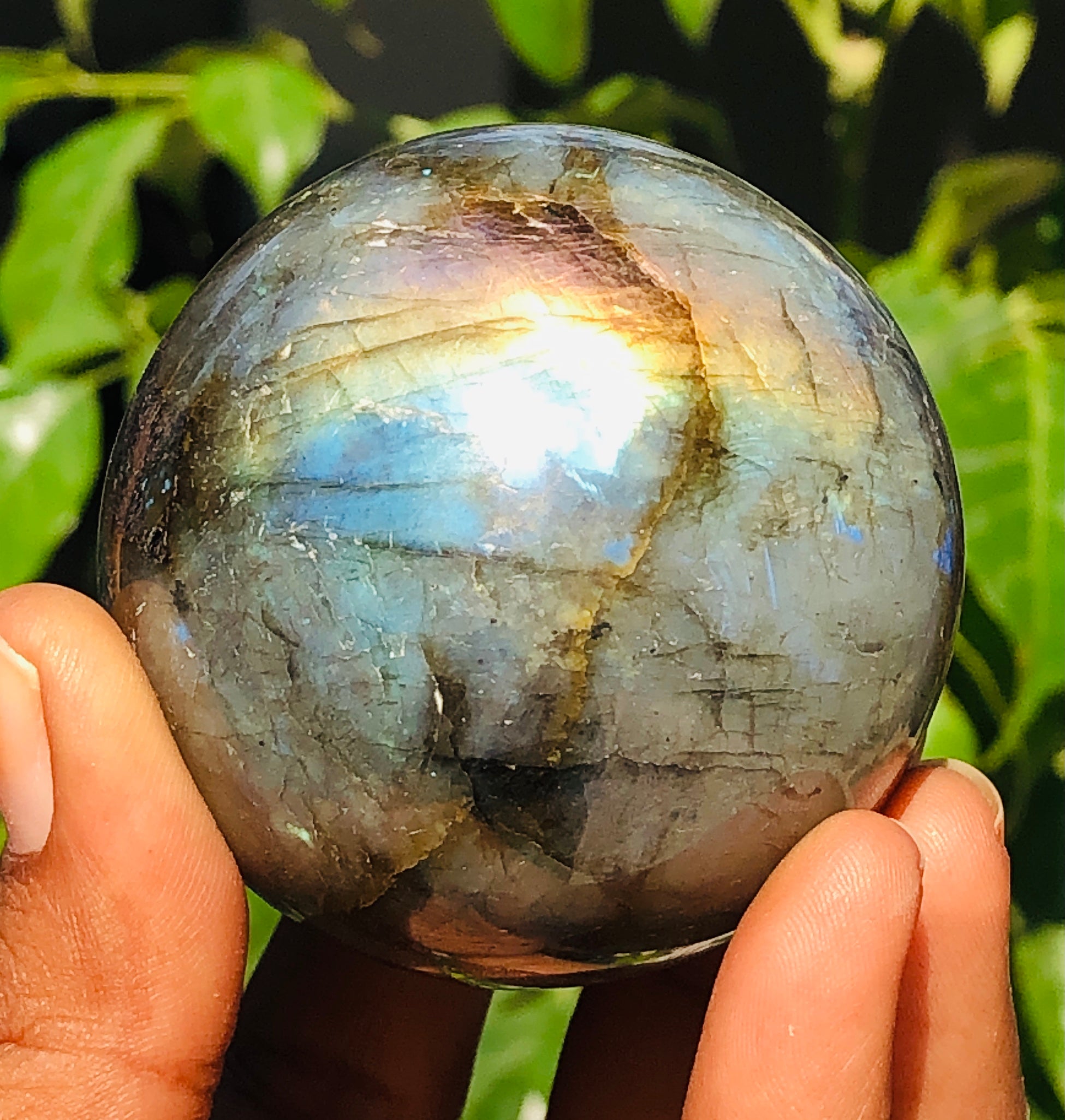Flawless 1113.00 Cts Genuine Golden & Blue Flash Labradorite Healing Ball Premium Sphere Crystal