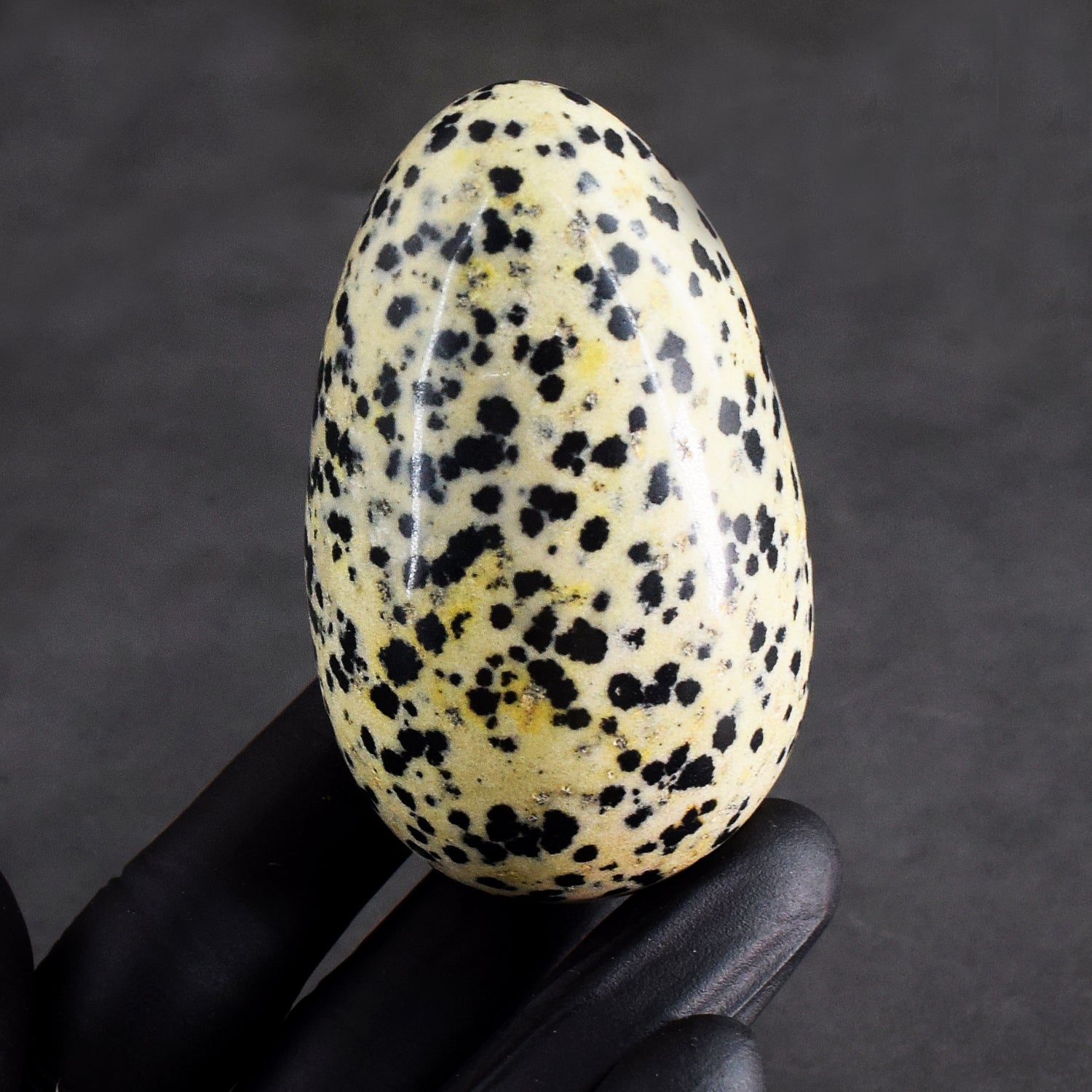 Beautiful 930.00 Cts Genuine Dalmation Jasper Healing Premium Crystal Egg