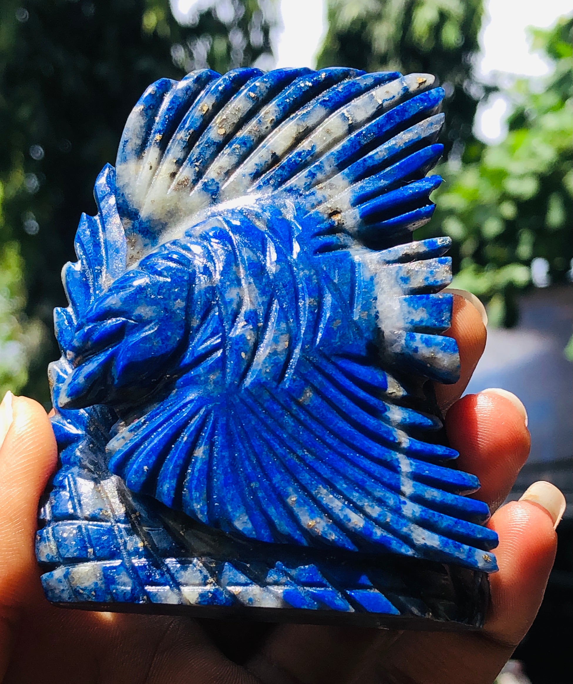 Genuine 1036.00 Carats Blue Lapis Lazuli Hand Carved Eagle 2026  Collection