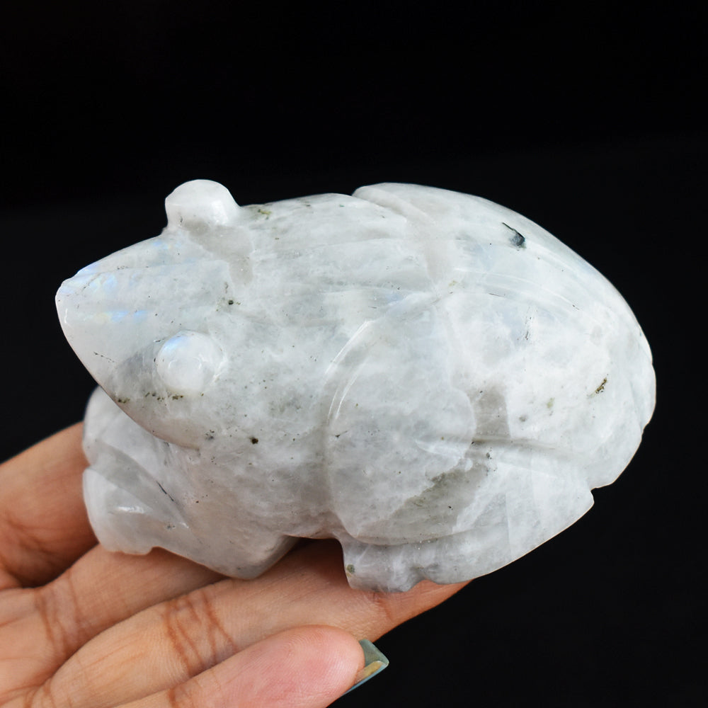 Exclusive Blue Flash  Moonstone 750.00 Cts Genuine  Hand Carved  Crystal  Gemstone Frog Carving