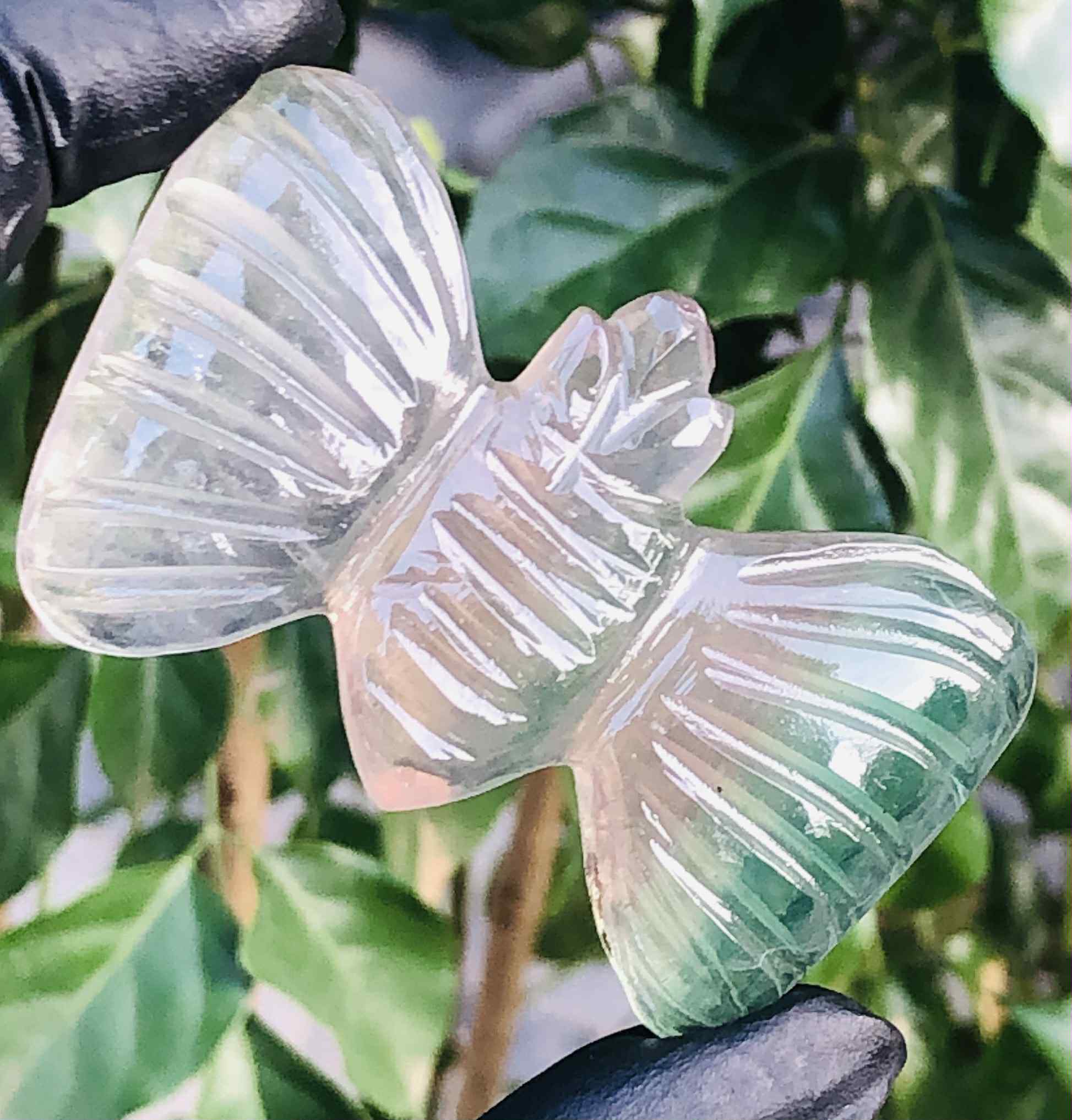 Amazing 189.00 Cts Genuine Multicolor Fluorite Crystal Carved Premium Butterfly