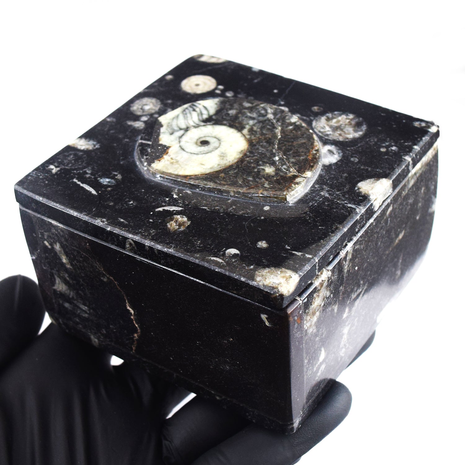 Admirable 2263.00 Cts Genuine Orthoceras Crystal Specimen Square Shape Box
