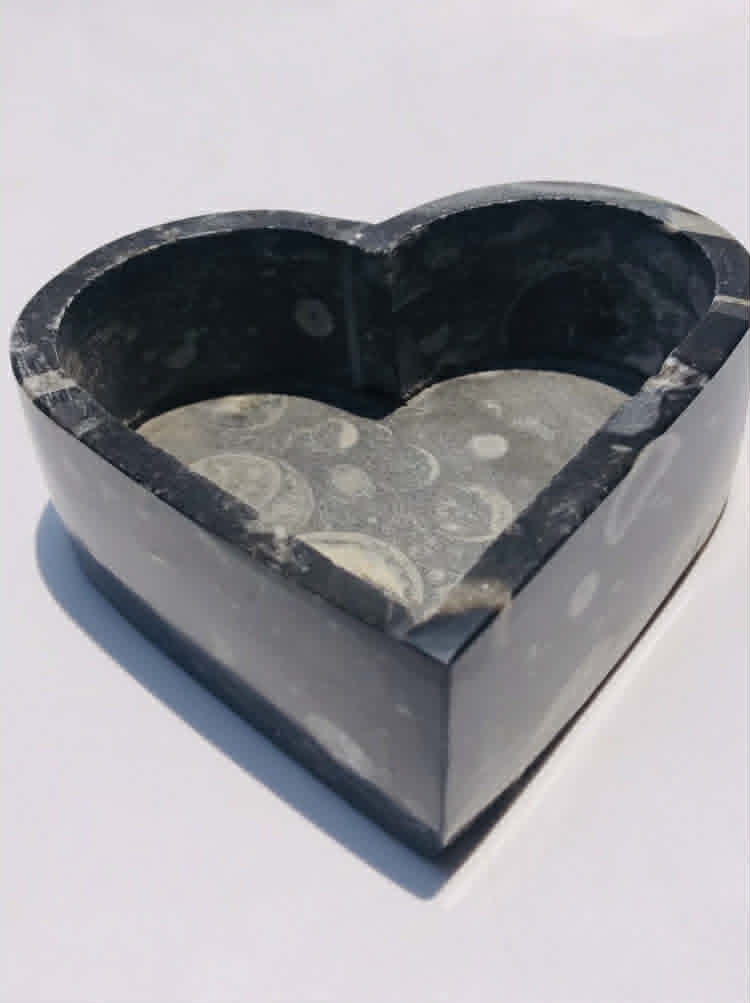 Untreated  2251.00 Cts Genuine Orthoceras Crystal Specimen Heart Shape Box