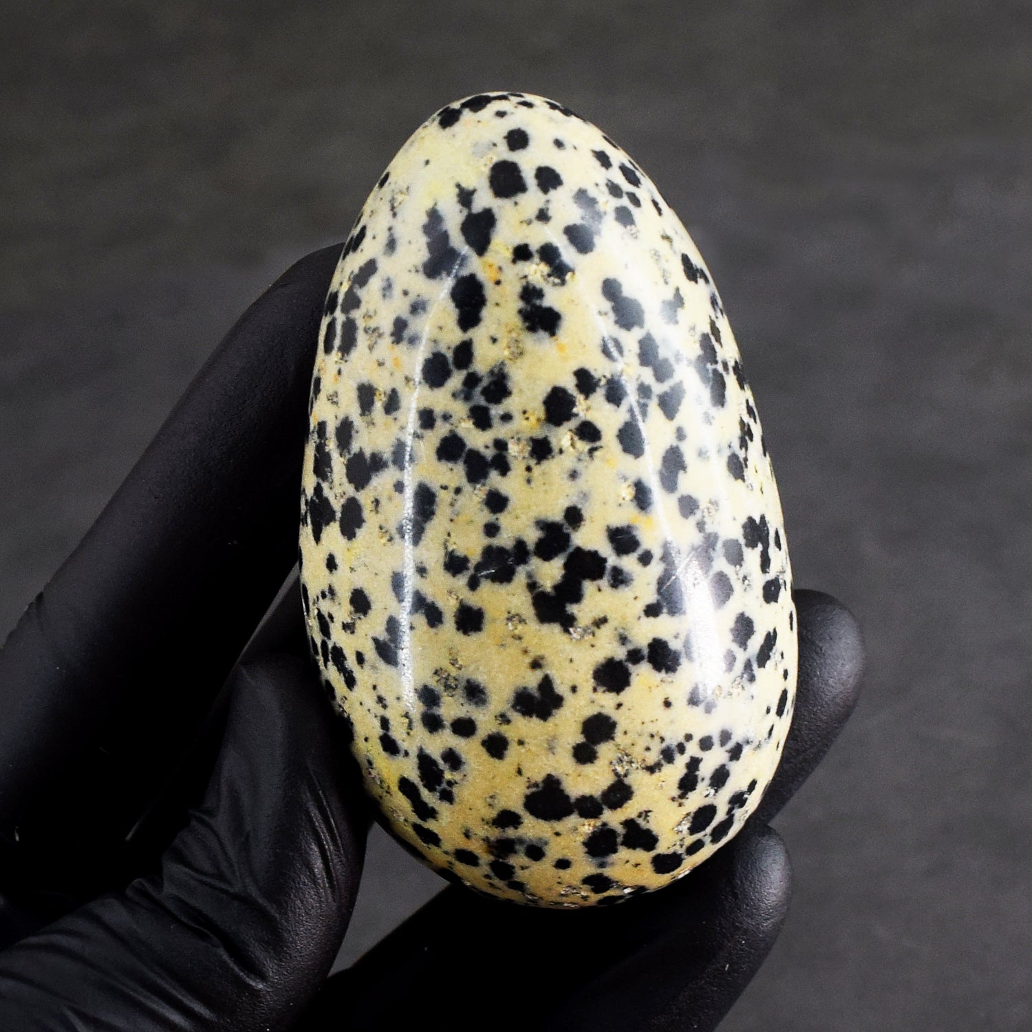 Beautiful 930.00 Cts Genuine Dalmation Jasper Healing Premium Crystal Egg