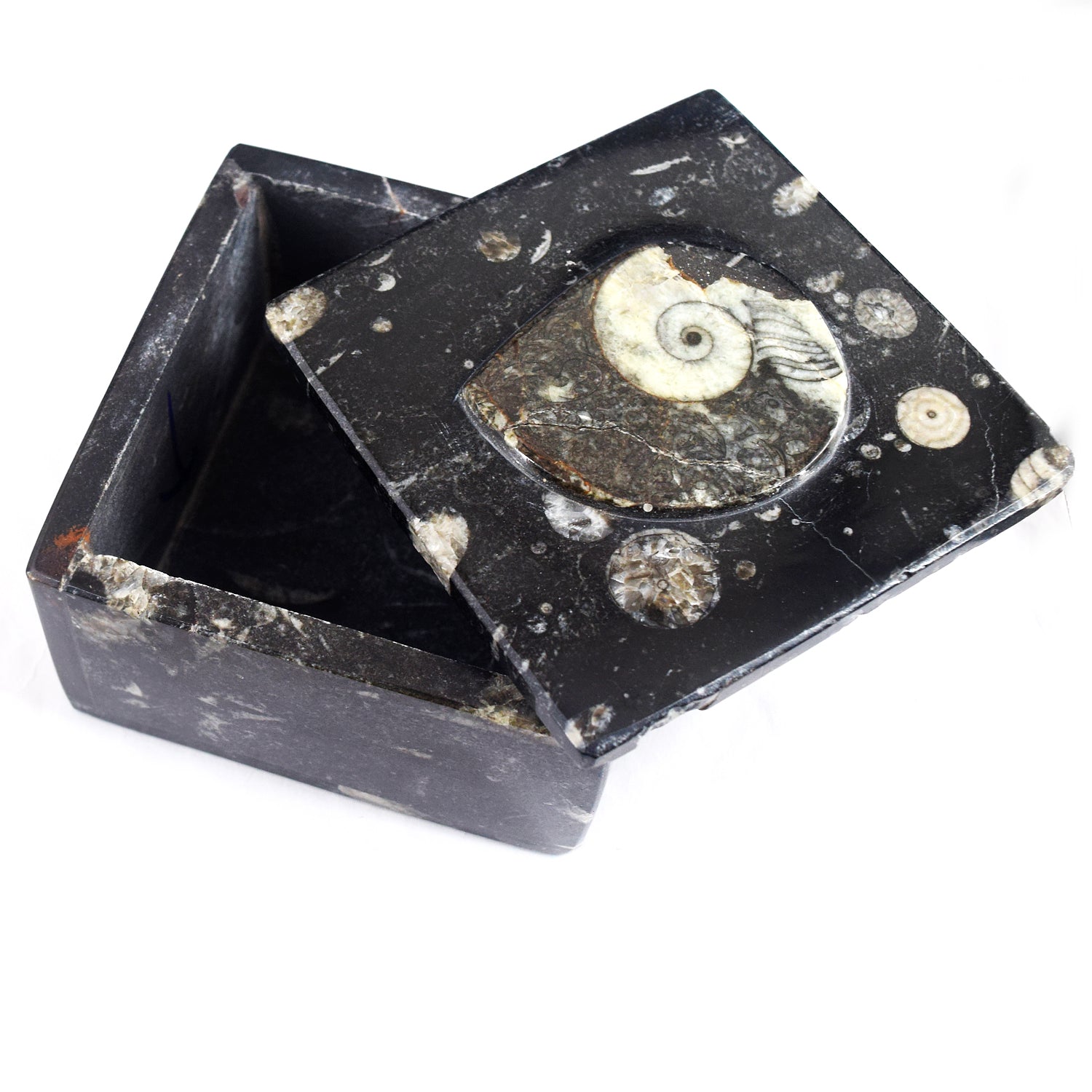 Admirable 2263.00 Cts Genuine Orthoceras Crystal Specimen Square Shape Box