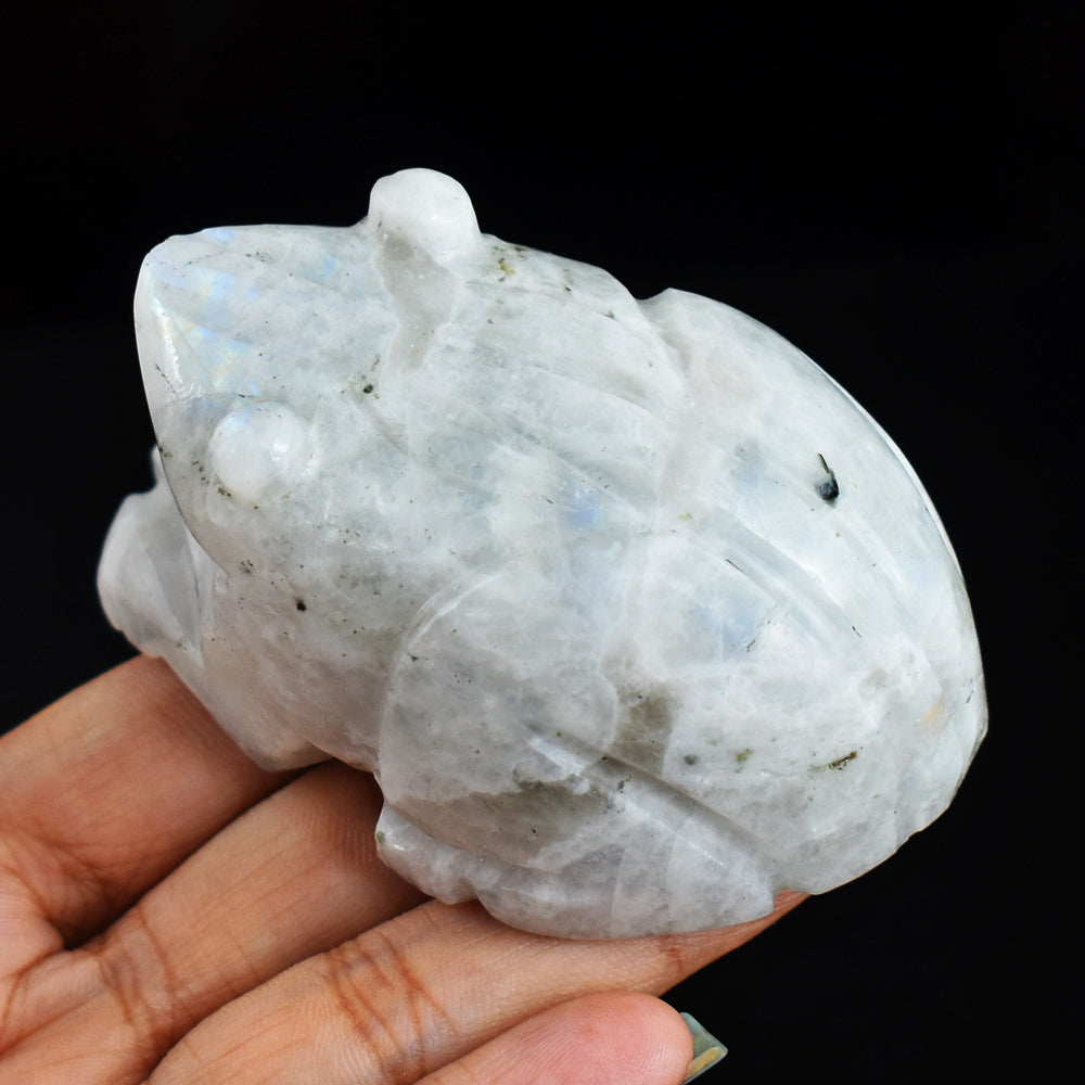 Exclusive Blue Flash  Moonstone 750.00 Cts Genuine  Hand Carved  Crystal  Gemstone Frog Carving