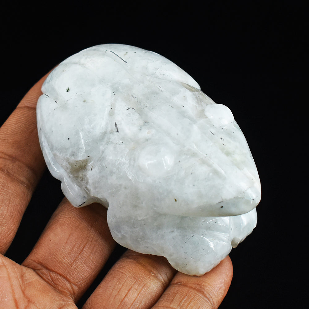 Exclusive Blue Flash  Moonstone  644.00 Cts  Hand Carved Genuine Crystal Frog Gemstone Carving