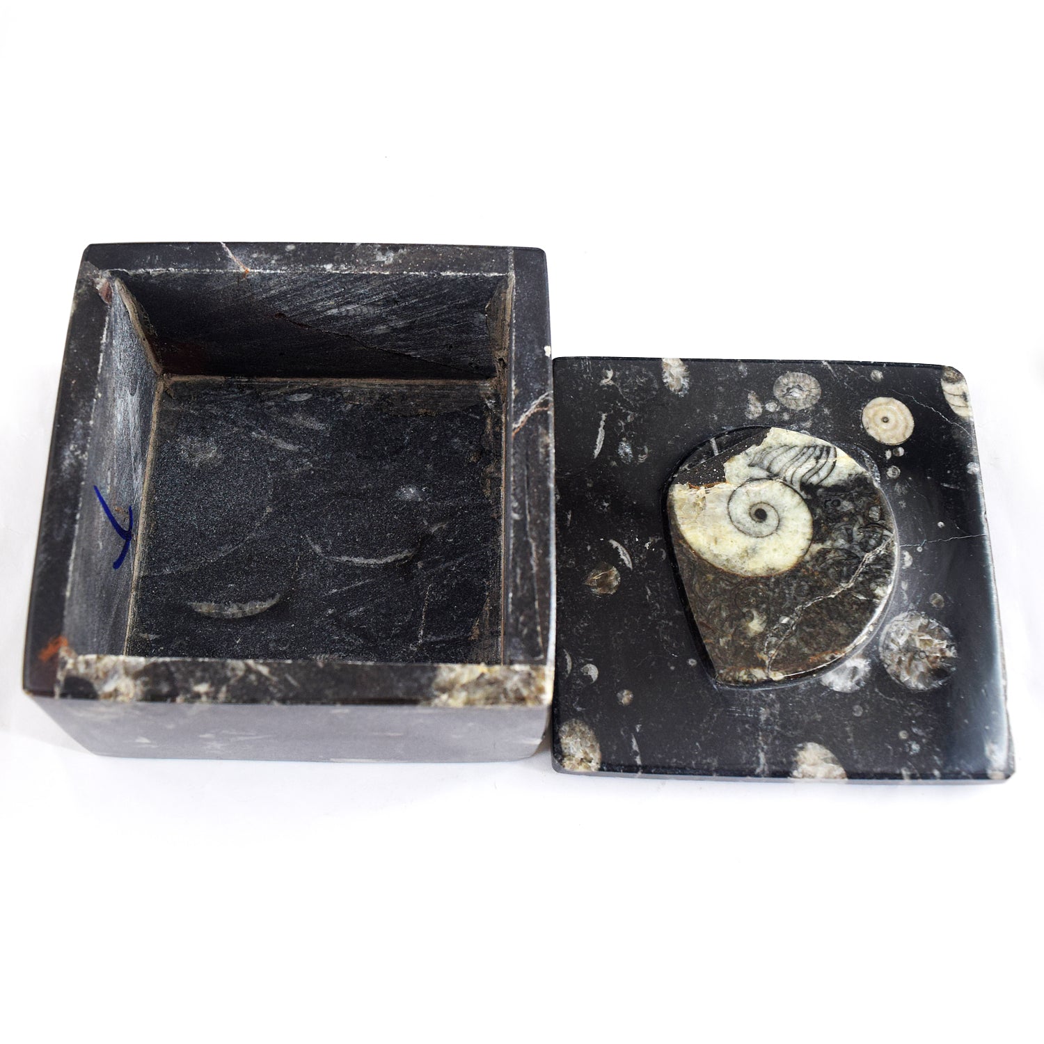 Admirable 2263.00 Cts Genuine Orthoceras Crystal Specimen Square Shape Box