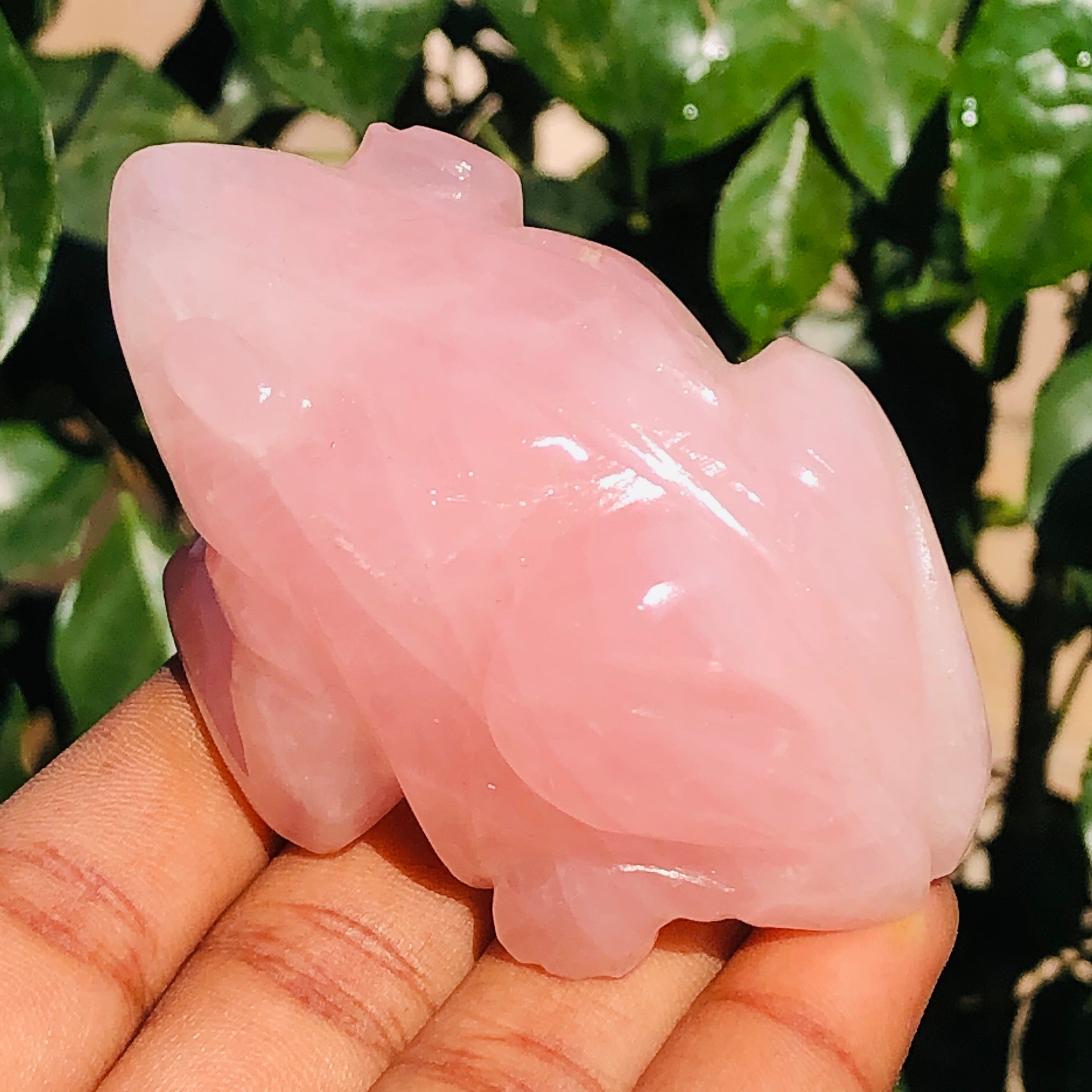 Beautiful 650.00 Cts Genuine Pink Rose Quartz Hand Carved Crystal Premium Frog