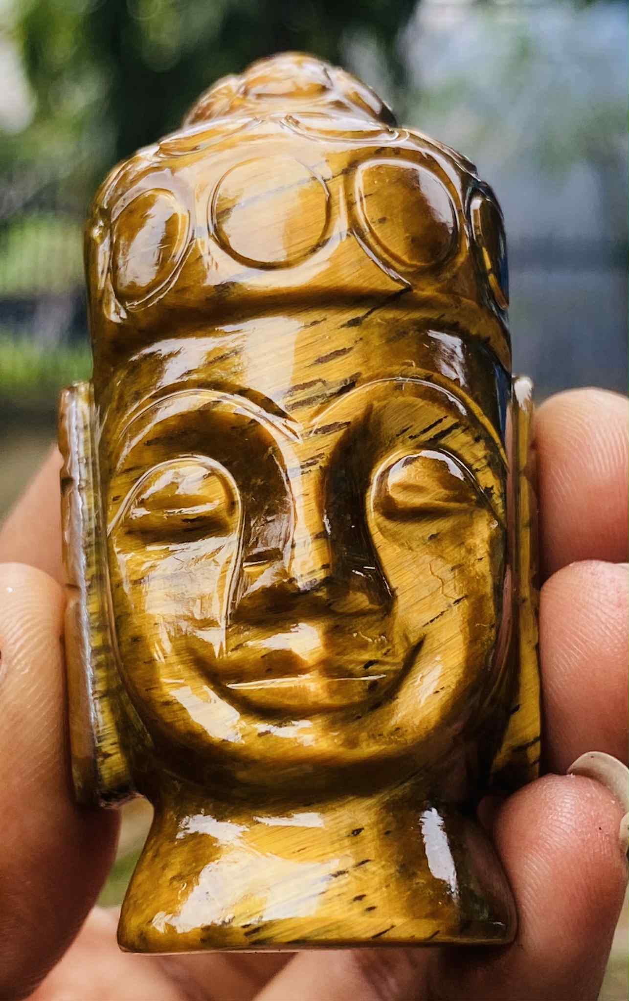 Genuine 539.00 Cts Tiger Eye Hand Carved Genuine Crystal Gemstone Carving Buddha Head