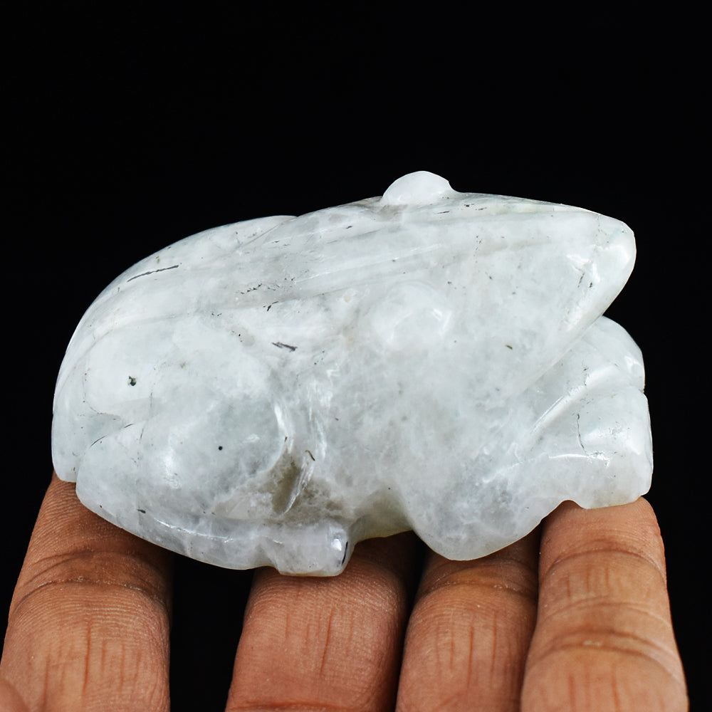 Exclusive Blue Flash  Moonstone  644.00 Cts  Hand Carved Genuine Crystal Frog Gemstone Carving