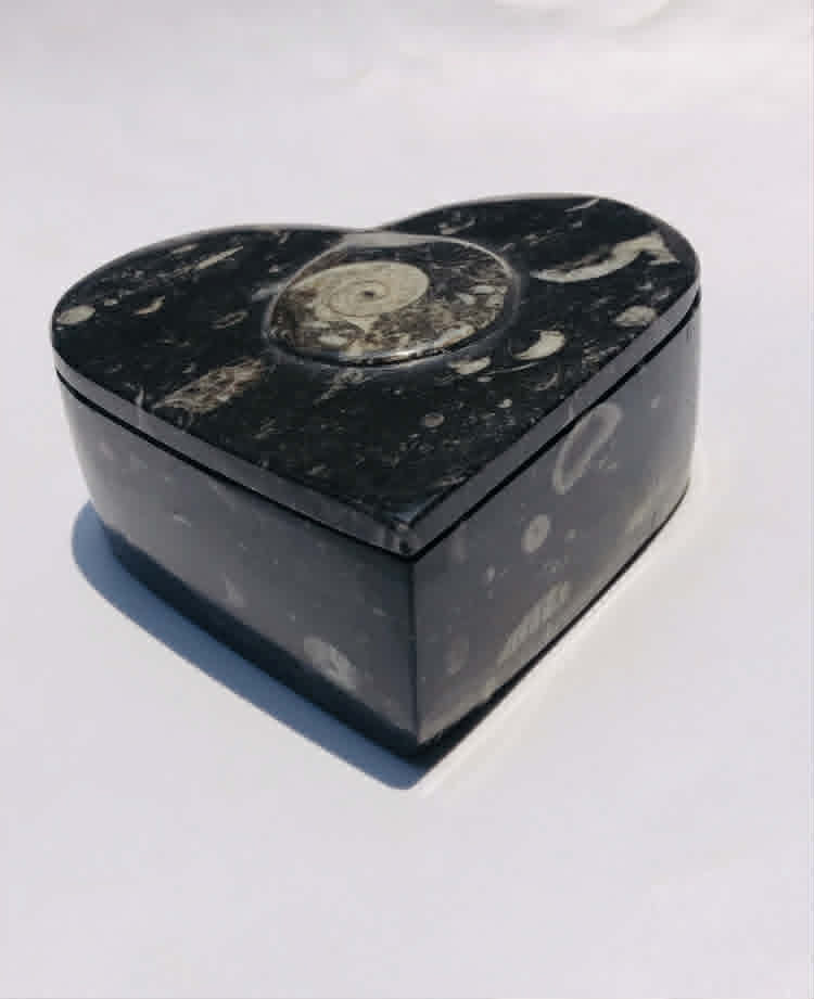 Untreated  2251.00 Cts Genuine Orthoceras Crystal Specimen Heart Shape Box