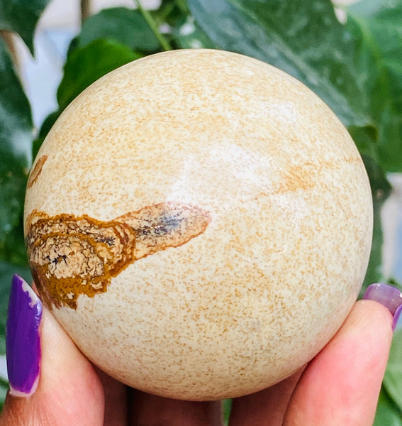 Natural 850.00 Carats Genuine Picture Jasper Hand Carved Crystal Healing Gemstone Sphere
