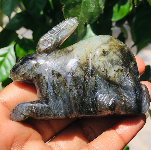 Superb 692.00 Cts Genuine Labradorite Hand Carved Gemstone Bunny 2026  Collection