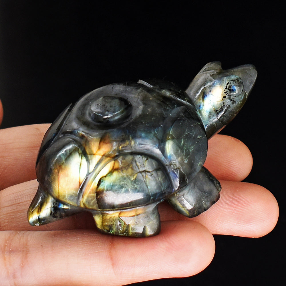 Awesome  352.00 Carats Genuine Golden & Blue Flash Labradorite Hand Carved Crystal Turtle Carving