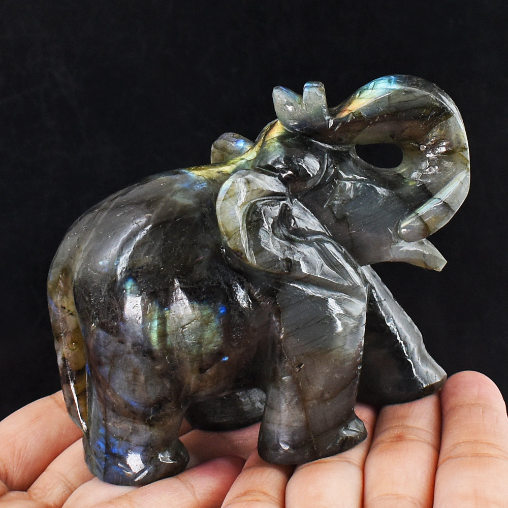 Blue & Golden Flash Labradorite 2123.00 Cts Genuine Hand Carved Crystal Gemstone Elephant Carving