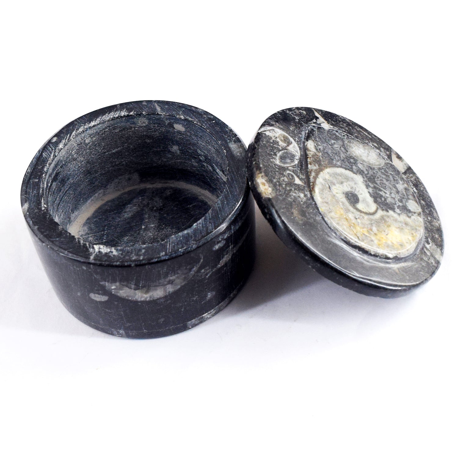 World Class Amazing 980.00 Cts Genuine Orthoceras Crystal Specimen Round Shape Box
