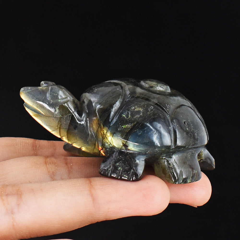 Awesome  352.00 Carats Genuine Golden & Blue Flash Labradorite Hand Carved Crystal Turtle Carving