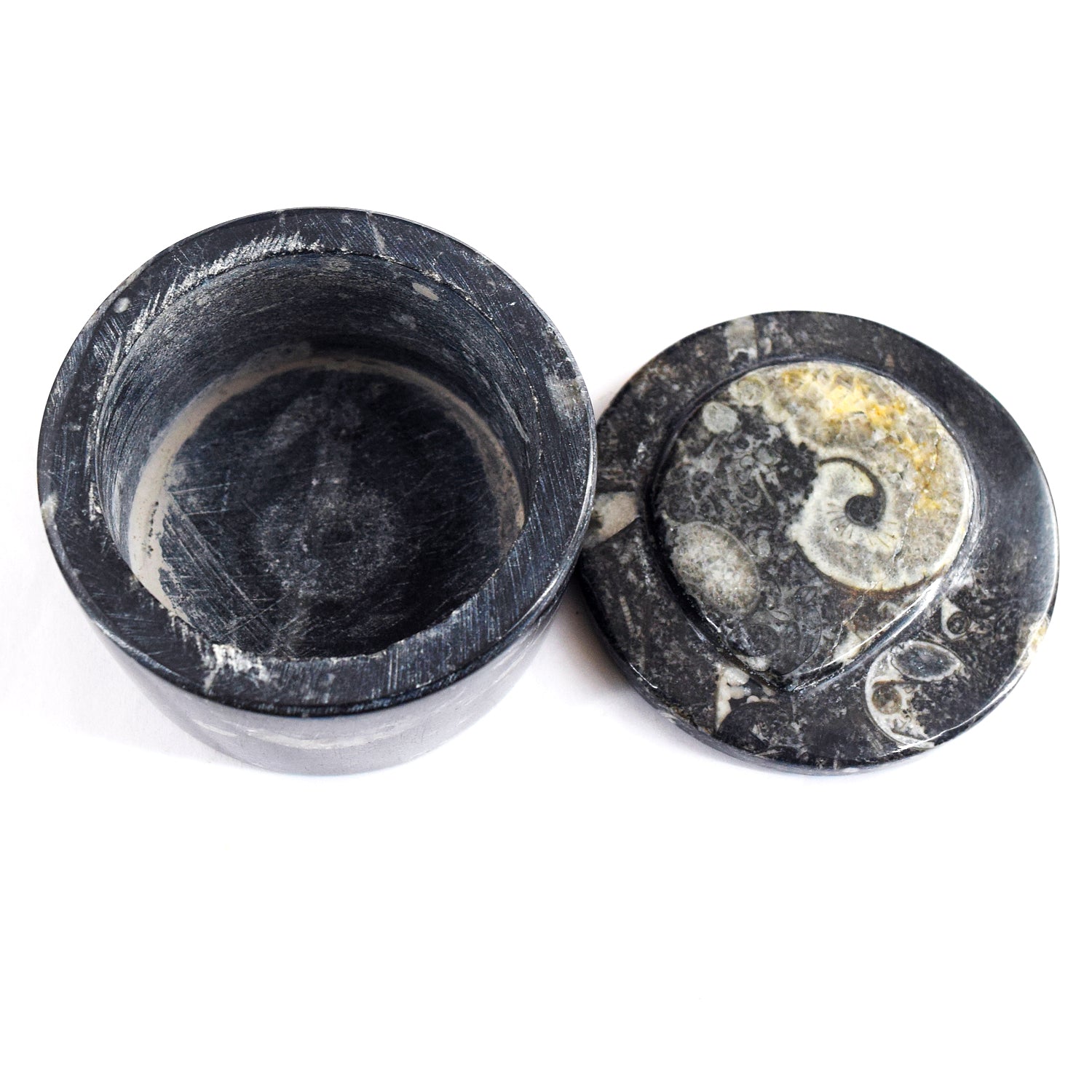World Class Amazing 980.00 Cts Genuine Orthoceras Crystal Specimen Round Shape Box