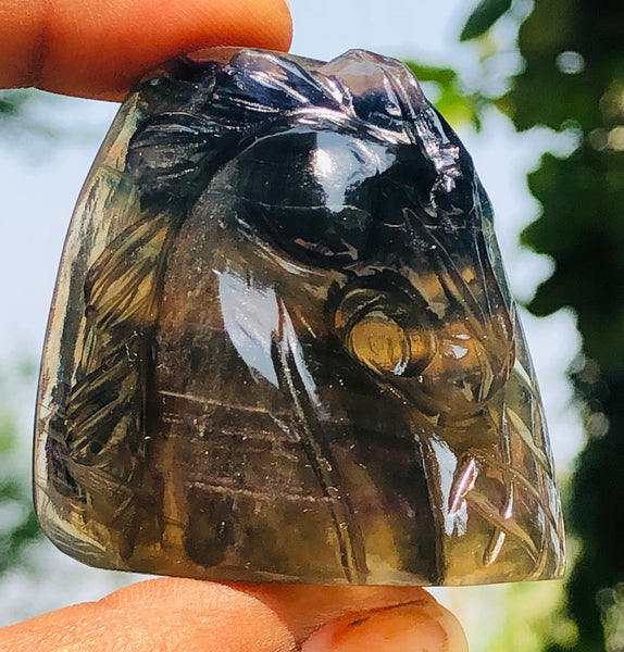 Exclusive 397.00 Cts Genuine Multicolor Fluorite Crystal Carved Premium Unicorn Head