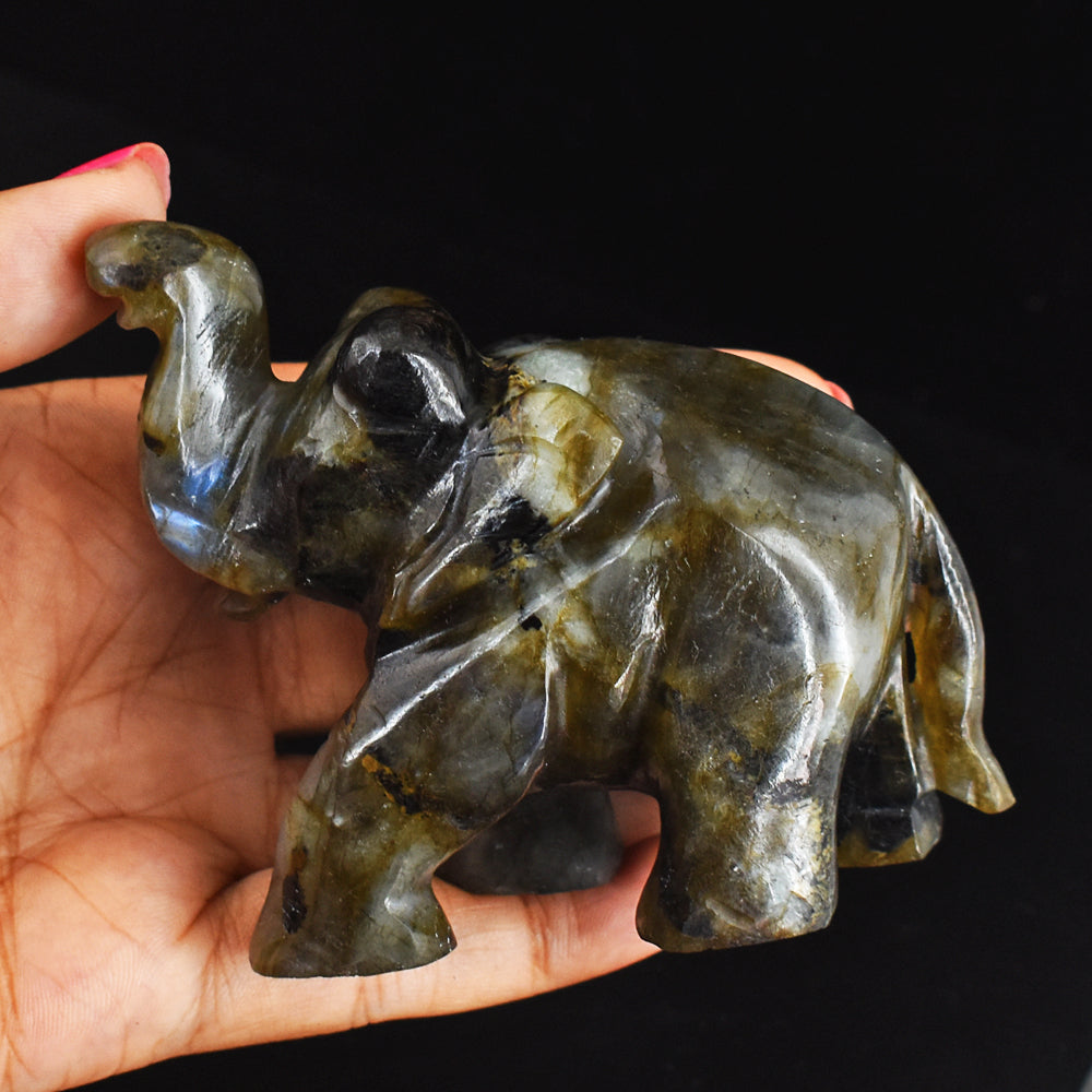 Craftsmen 1070.00 Cts  Genuine Blue Flash Labradorite  Hand Carved Crystal Gemstone Carving  Elephant