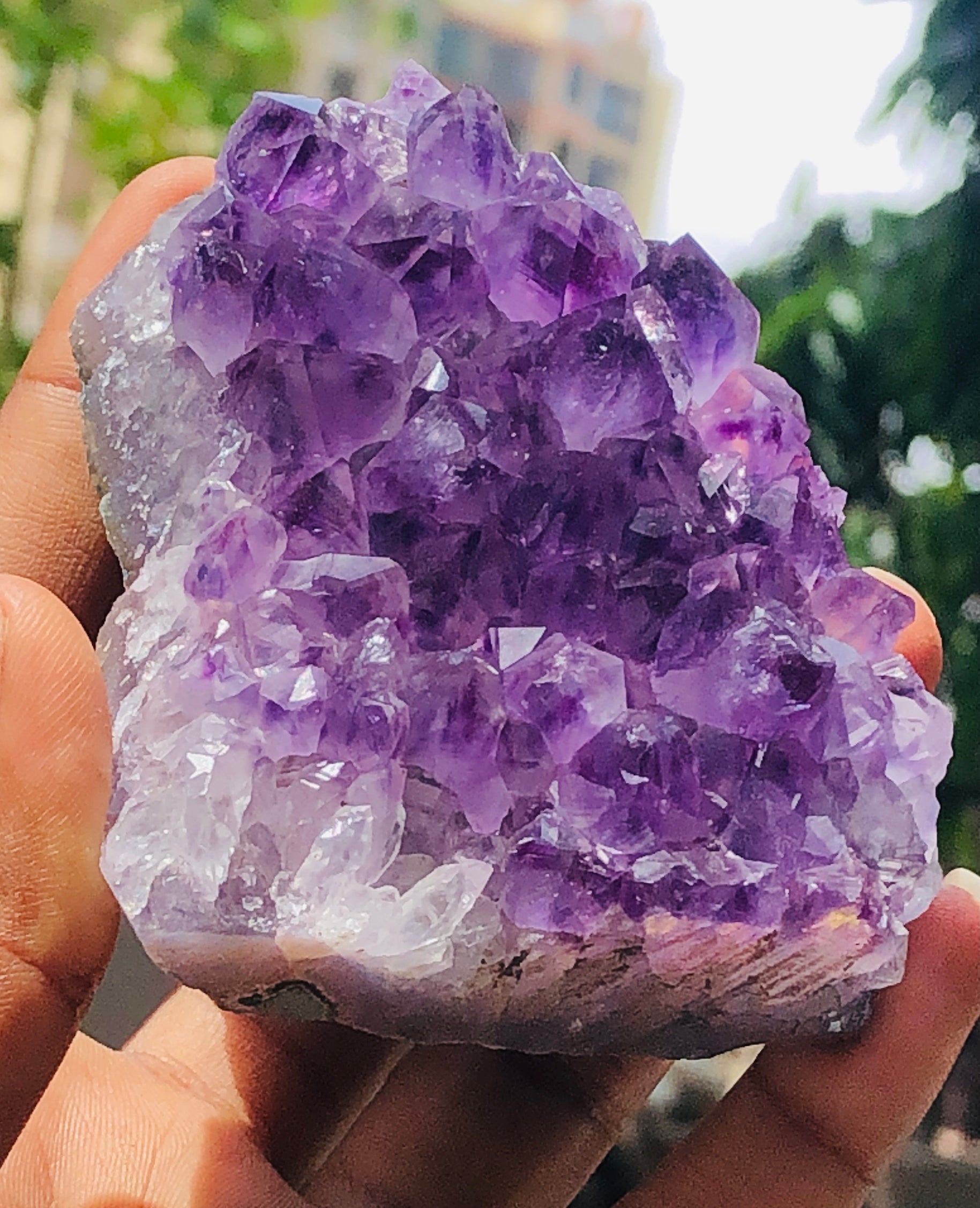 Stunning 982.00 Cts Genuine Amethyst Crystal Specimen Healing Cluster Gemstone