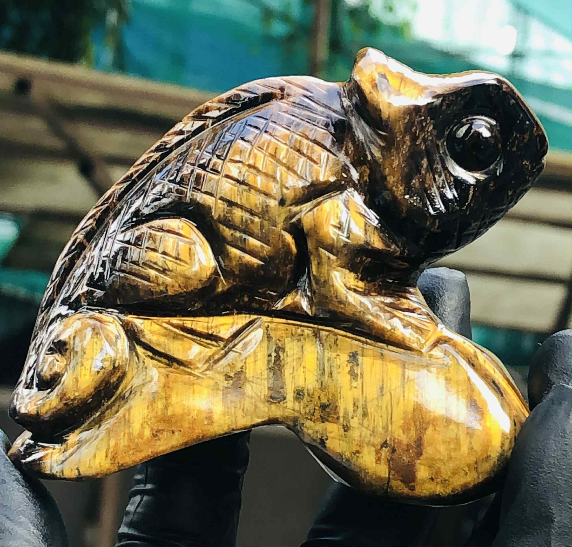 Amazing 1118.00 Cts Genuine Tiger Eye Carved Premium Chameleon Crystal