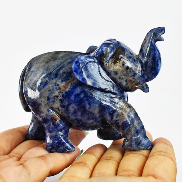 Artisian 1400.00 Cts  Blue Sodalite  Hand Carved Genuine Crystal Gemstone Carving Elephant